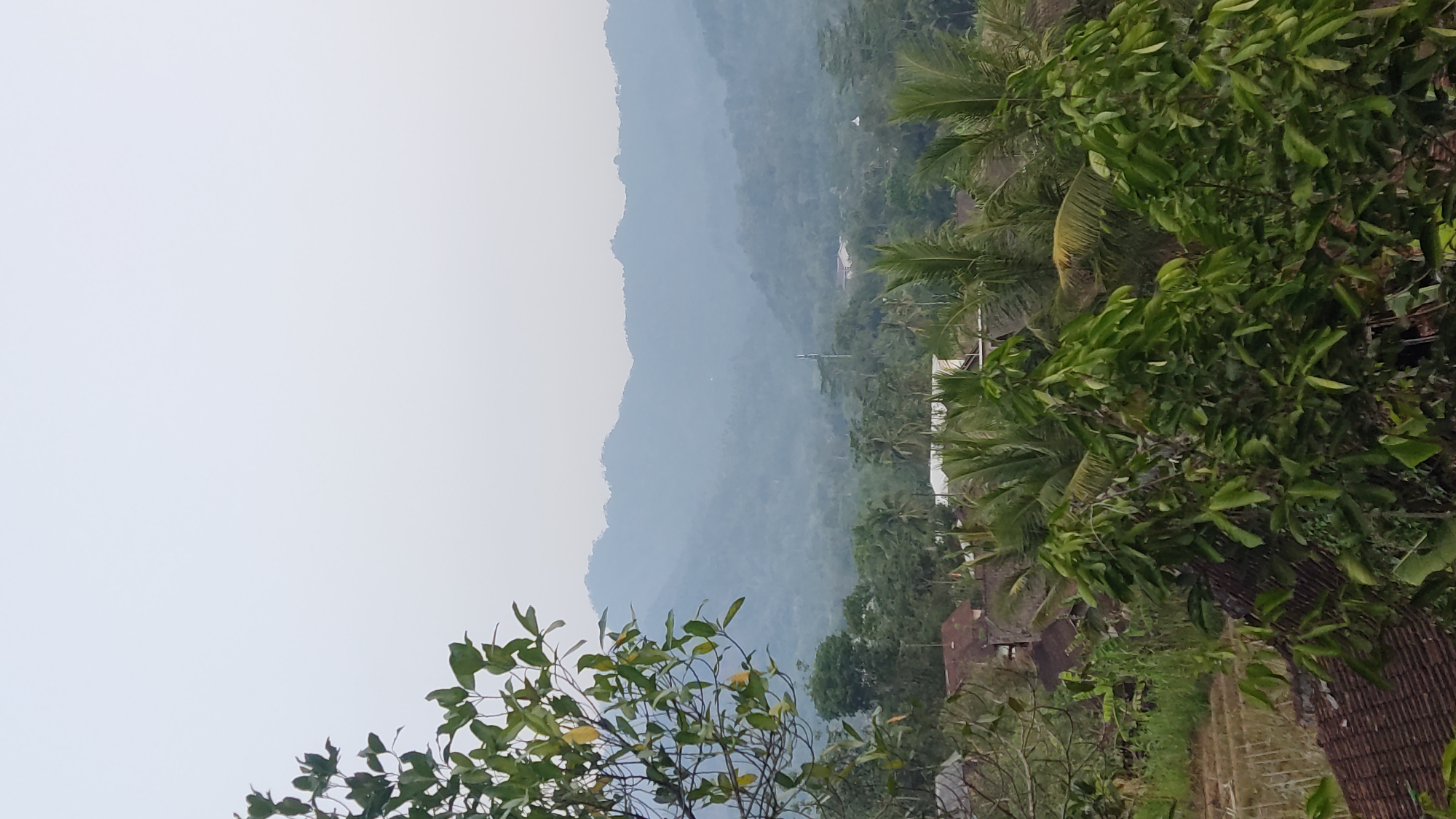 The image depicts a hazy, mountainous landscape, characteristic of Ngadiharjo, Indonesia. In the foreground, lush green foliage from trees partially obscures the view of a village. Roofs of houses, some with reddish-brown tiles, are visible amidst the greenery. In the mid-ground, more trees and buildings are scattered across the terrain. A cellular tower is present to the right of the center. In the background, rolling hills and mountains fade into the atmospheric haze, creating a sense of depth and distance. The sky is overcast and pale. There are no people or animals visible in the frame.