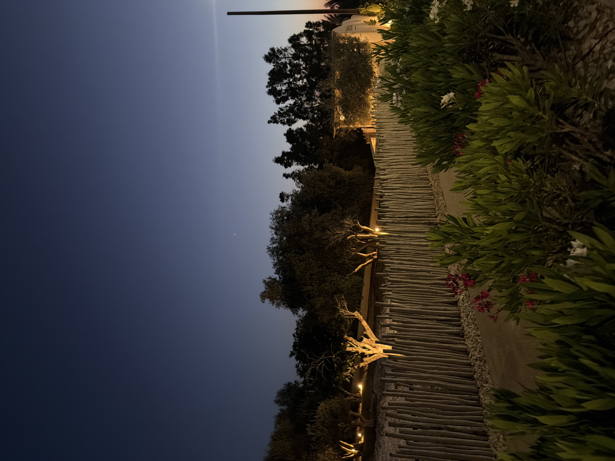 The image depicts an outdoor evening scene at twilight in Pervolia, Cyprus. The sky transitions from a deep indigo at the zenith to a lighter blue-grey mid-level, with a soft orange-pink gradient visible along the far right horizon. A single bright celestial body, appearing as a small white dot, is visible in the upper left quadrant of the sky.
In the foreground, a dense array of green bushes with scattered red and white flowers occupies the lower portion of the frame, primarily on the right side. Behind these bushes, a light-colored path, approximately 1 meter wide, curves subtly to the left. The path is bordered on the right by small, light-colored gravel.
Running horizontally across the midground is a rustic fence constructed from numerous irregular, vertically aligned wooden posts. Behind this fence, the terrain gently slopes upwards, featuring several mature trees with visible trunks and branches. Multiple warm-toned spotlights illuminate the base and lower canopy of these trees, highlighting their textures and casting a golden glow.
Further back, a dense line of unlit, dark green trees forms a silhouette against the sky. On the far right, a segment of a light-colored building with a flat profile is visible, also illuminated by warm artificial light. To the immediate right of this building, a single tall, dark, vertical pole stands against the brightest portion of the horizon. The distant horizon on the right shows faint silhouettes of additional vegetation against the fading light. No individuals or discernible activities are present in the scene.