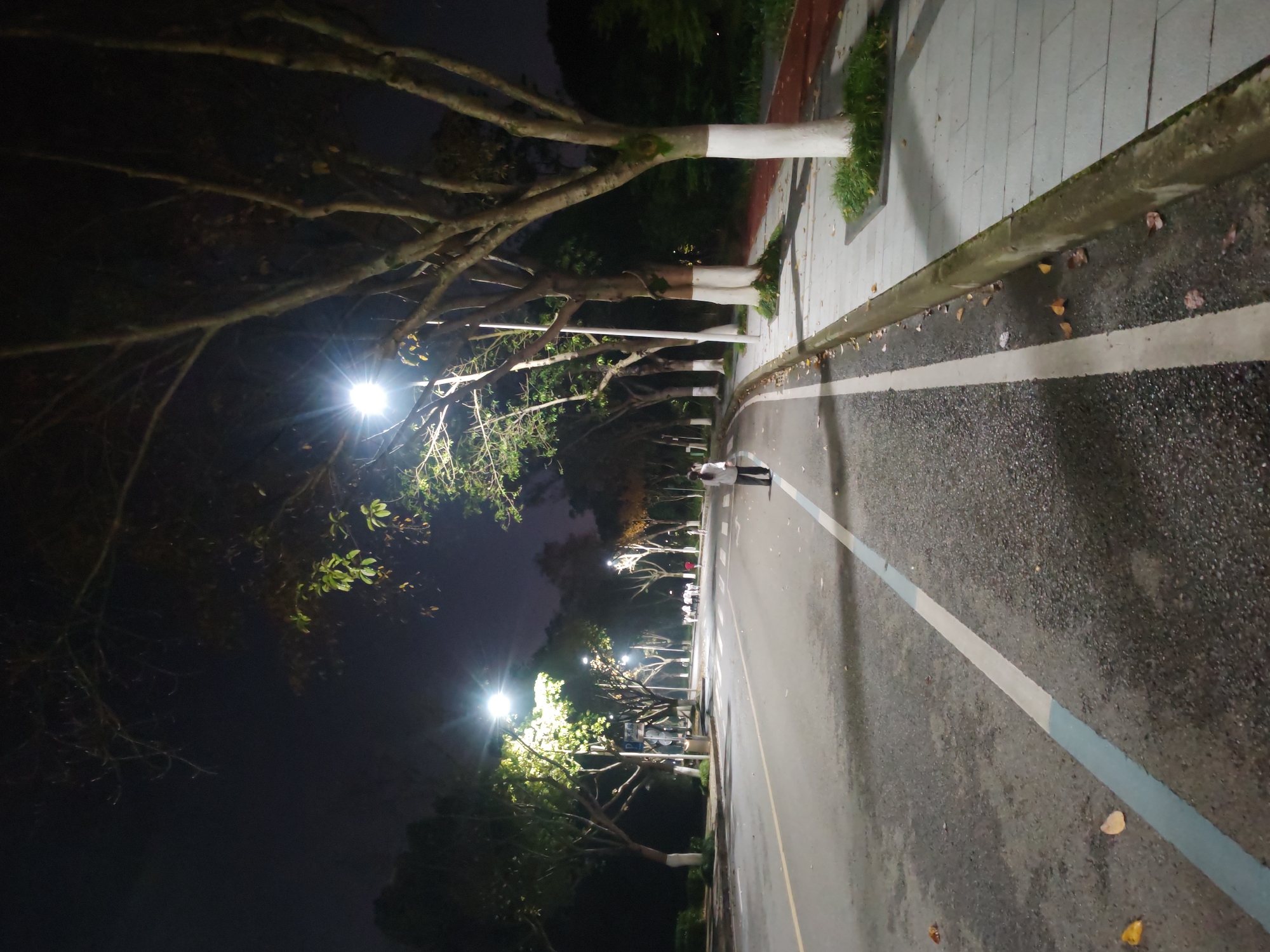 The image shows a nighttime street scene in Chongqing High-tech Zone, China. The road is asphalt with painted lane markings. Streetlights illuminate the scene. Trees line the street, some with white paint around their lower trunks. A single person is visible in the distance, walking along the side of the road. A concrete curb separates the road from a paved sidewalk. Some leaves are scattered on the road and sidewalk. The overall impression is of a quiet, dimly lit urban environment.