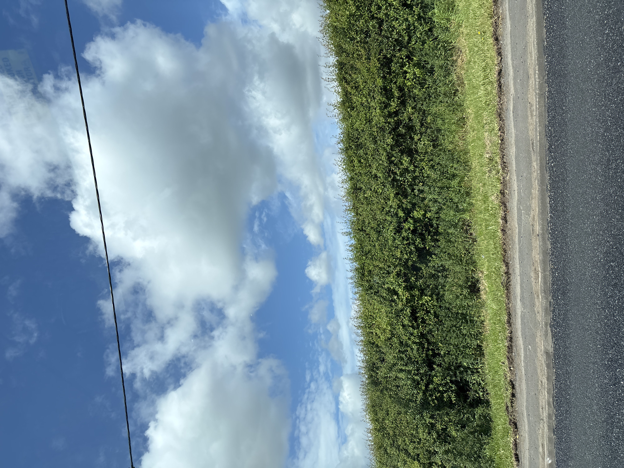 A landscape photograph captures a scene of a road running alongside a tall, well-maintained green hedge, set against a backdrop of a bright blue sky filled with fluffy white clouds. A single black power line stretches across the sky. The road surface is dark asphalt, showing signs of wear. The hedge is dense and uniformly trimmed. The photograph seems to be taken from a moving vehicle. There is no verifiable evidence to pinpoint the exact location as Chester, United Kingdom. No people, actions, or interactions are shown in the image.