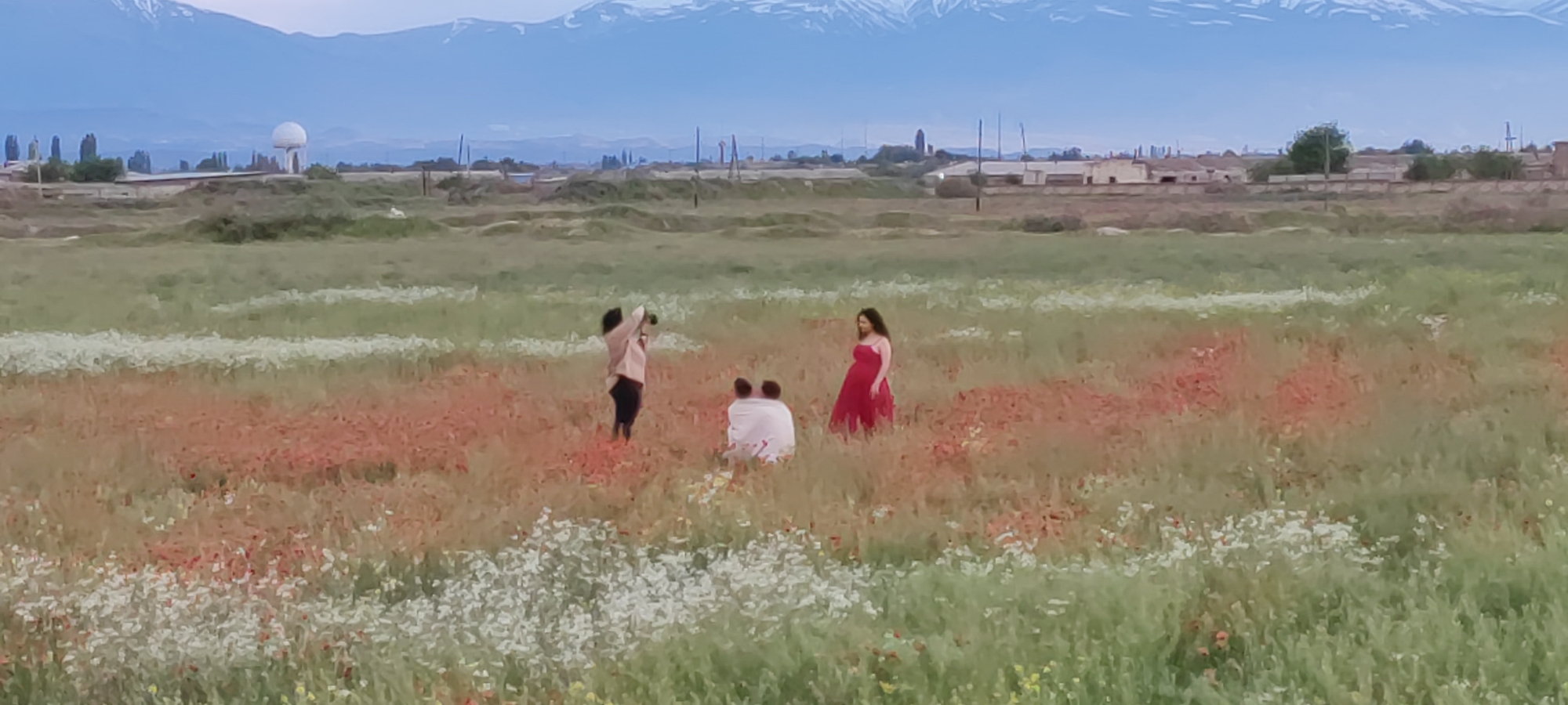 The image depicts an outdoor scene, possibly a photoshoot, taking place in a field with blooming flowers, including red poppies and white daisies. In the foreground, there are four people; a woman standing in a red dress with her back slightly turned to the camera, a person in dark pants and a lighter colored shirt holding a camera, and two people sitting on the ground. The person with the camera is pointing it towards the person in the red dress. The field stretches into the middle ground, transitioning into an area with some buildings, trees, and power lines. In the background, there are snow-capped mountains under a sky with light blue hues. According to context, this photo was taken in the city of Voskehat, Armenia.
