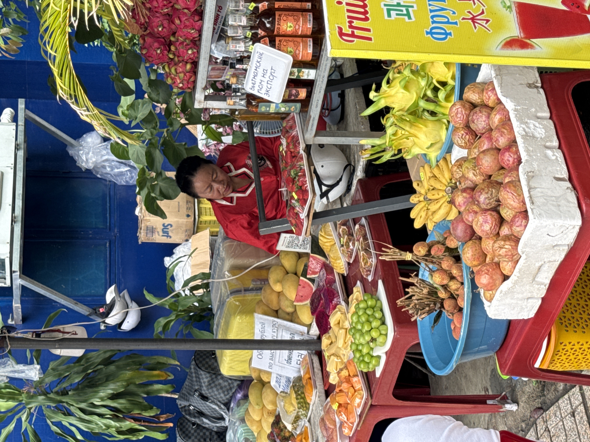 Here is a detailed description of the image:
A fruit stand in the Nha Trang Ward of Vietnam is heavily laden with various fruits and bottled beverages, suggesting a tropical environment. The stand is staffed by a woman in a red shirt. She appears to be resting or asleep, resting in front of a display of strawberries.
The fruit stand itself is crowded with a colorful assortment of produce including yellow dragon fruit, bananas, mangos, passion fruits and assorted peeled fruits. There is signage in what appears to be Vietnamese and Russian. The beverages seem to be a variety of flavored spirits. The stand is set up on a series of red plastic tables and appears to be an impromptu setup rather than a permanent structure. A variety of plants are also present.