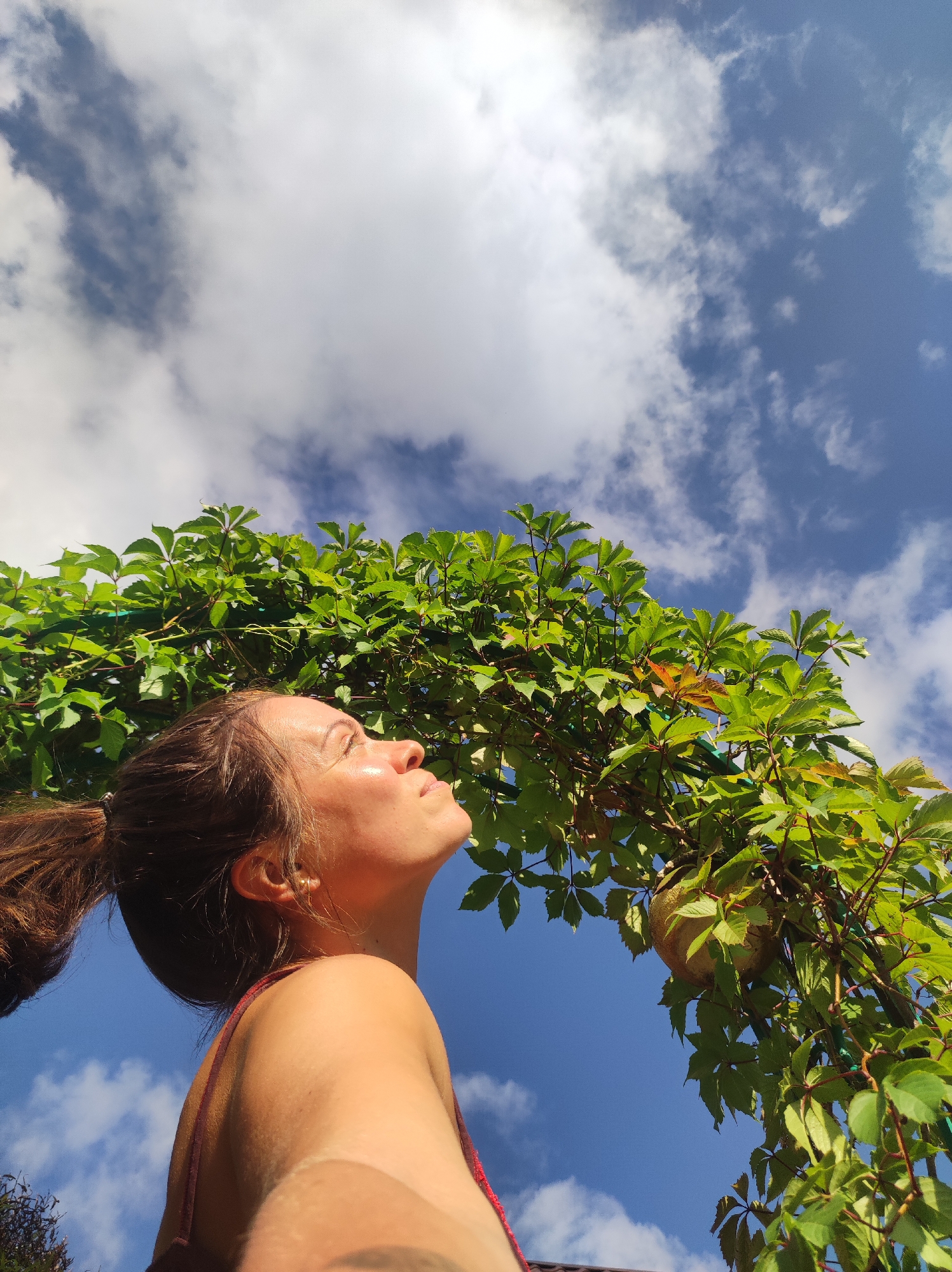 A young woman with a ponytail looks up at the sky from below a green vine-covered archway, with a round, light-colored fruit visible on the vine. The sky is blue with scattered white clouds. The woman is wearing a dark red strap. The scene appears to be outdoors, possibly in a garden or park setting in the city of Fokino, Russia.