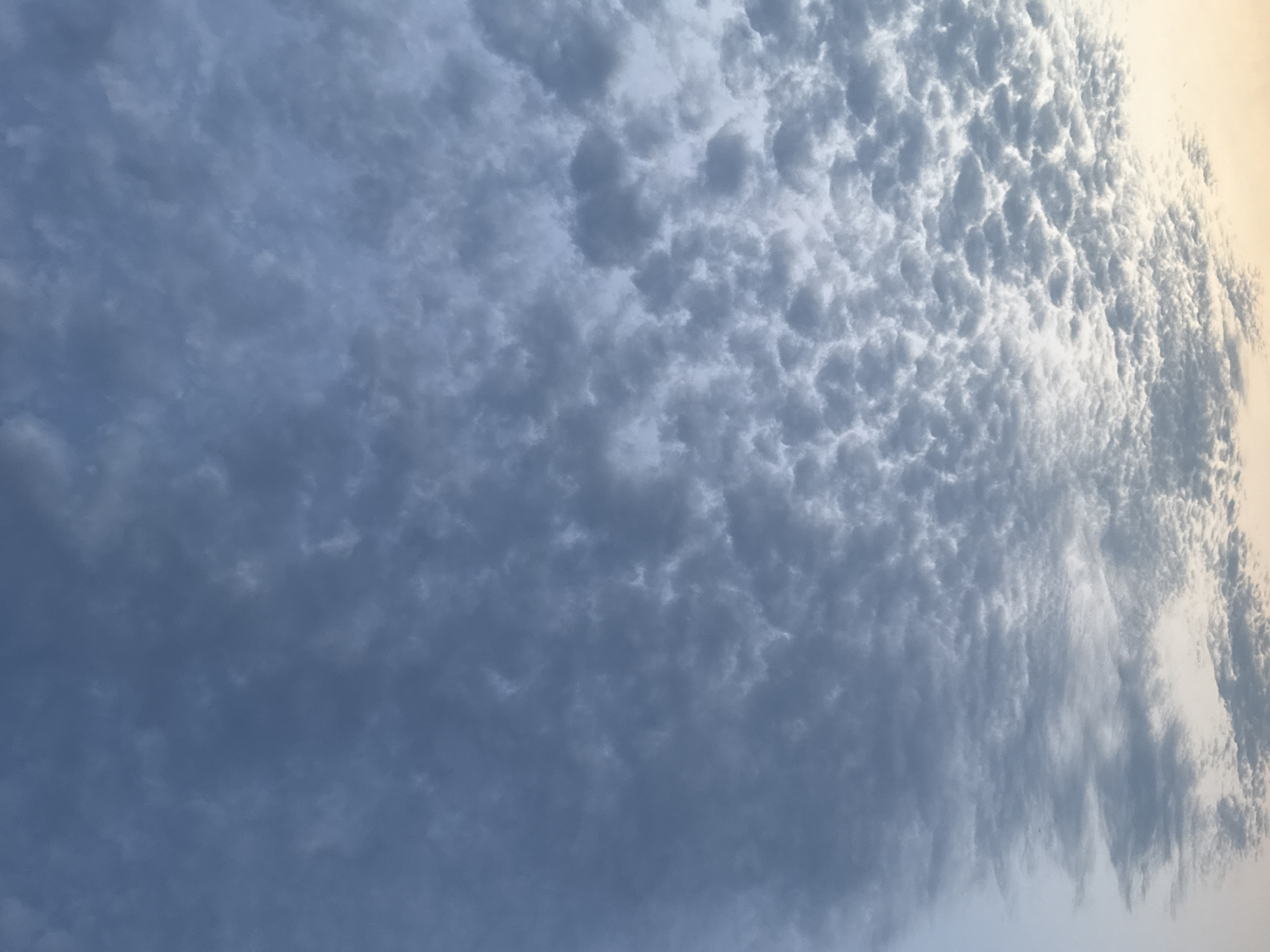 The image shows a sky filled with altocumulus clouds in a pattern resembling ripples or small cotton balls. The clouds are predominantly gray and blue, with lighter areas where the sunlight is more visible. Towards the bottom of the image, the sky transitions to a pale yellow and orange hue, suggesting either sunrise or sunset. There are no discernible objects, people, or actions visible in the image, and the location in Сёла, Russia, cannot be determined from the visual content alone.