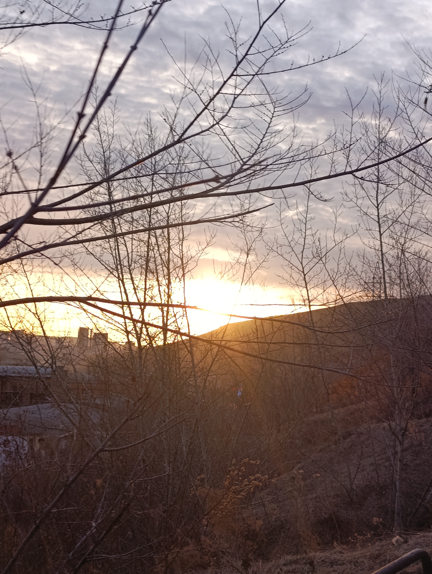 The image shows a cityscape at sunset in Krasnoyarsk, Russia. Bare tree branches in the foreground obscure a partial view of buildings silhouetted against the setting sun. A hill is also visible in the middle distance. The sky is overcast with layered clouds. The scene is captured from an elevated position.