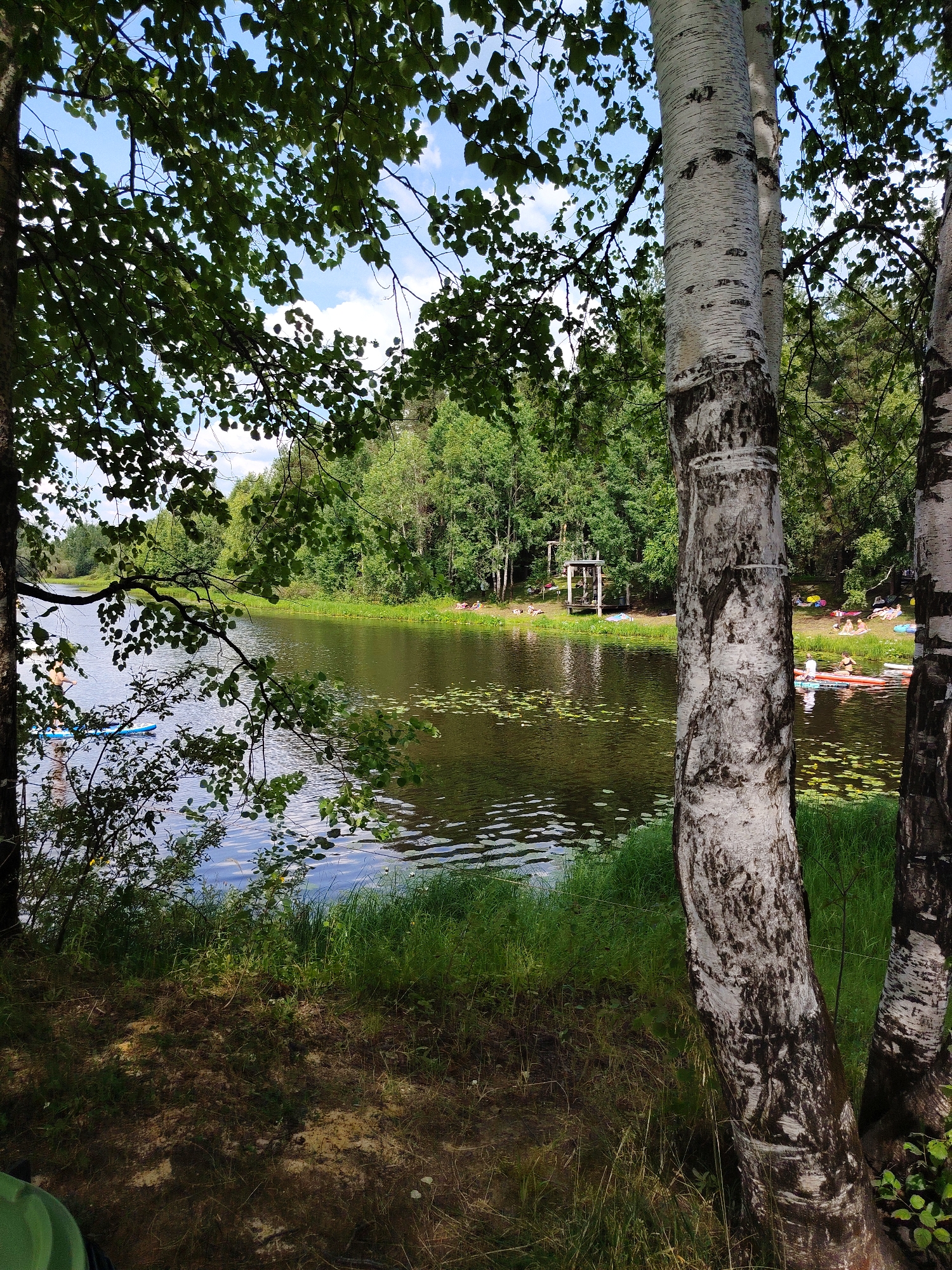 The image shows a serene natural scene on the shore of a lake in the city of Vyltydor, Russia. In the foreground, two large birch trees with their distinctive white bark are prominently displayed, framing the view of the lake. Their branches, laden with green leaves, extend overhead, creating a dappled canopy. The lake itself is calm, with gentle ripples on its surface reflecting the blue sky and scattered white clouds. Lily pads dot the water in various areas.
The far bank of the lake is lined with dense green trees, forming a natural, verdant backdrop. On the shore opposite, there are signs of human activity. Several people are seen relaxing on the grassy bank, some lying on colorful blankets. A wooden structure, possibly a diving platform or a small dock, is visible near the water's edge. Further along the bank, a group of people are gathered, some near inflatable rafts on the water, suggesting recreational activities like paddleboarding or swimming. The overall atmosphere is one of peaceful outdoor leisure.