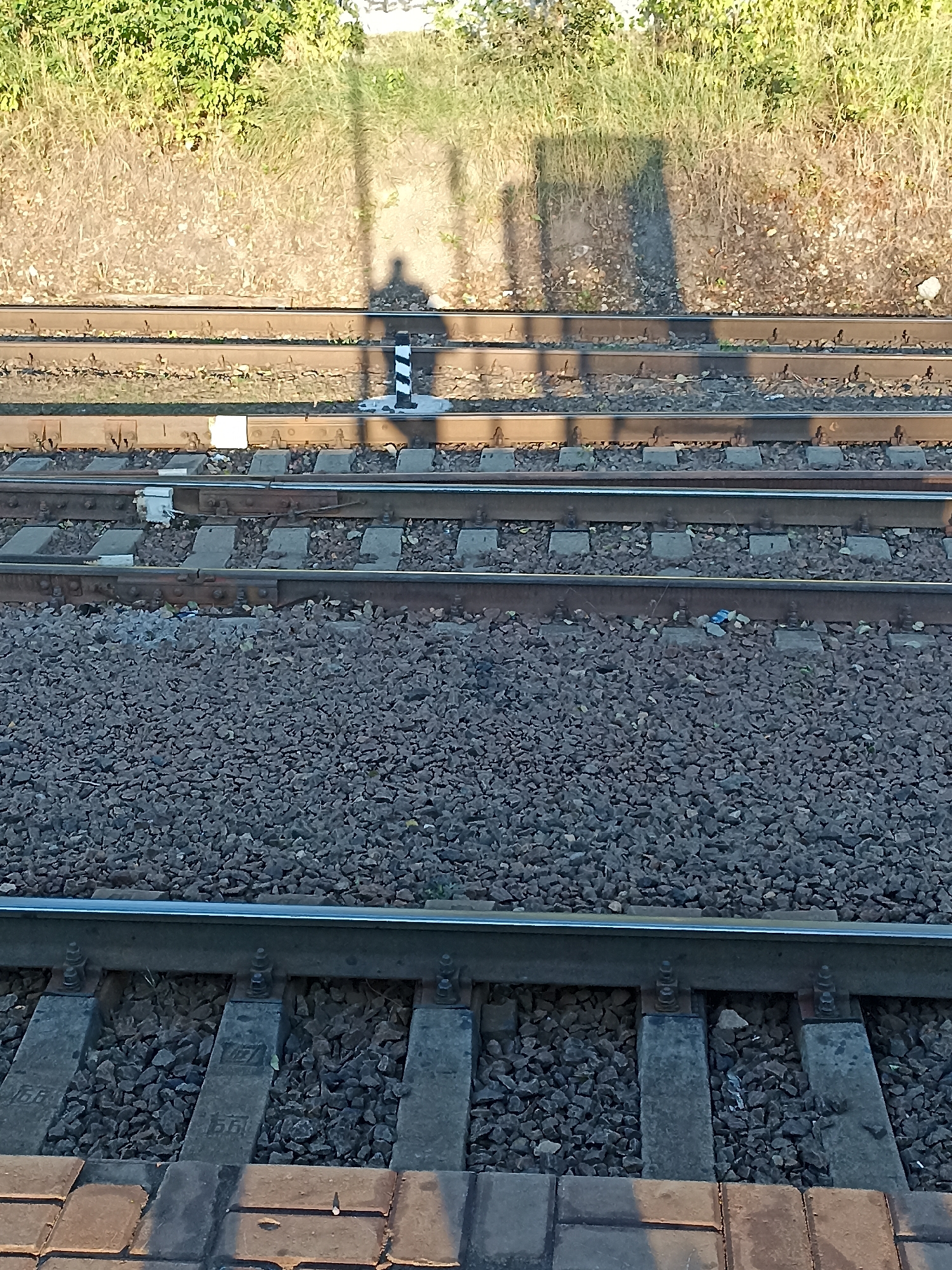 This is a medium-angle, slightly elevated shot of multiple railway tracks in Chekhov, Russia. The tracks are laid on ballast, with concrete ties visible in the foreground. A signal pole with black and white stripes is positioned between two of the tracks. The area is bordered by dry grass and green foliage on the left and right. Shadows of a person and a pole are cast across the tracks and embankment. There are no people or animals visibly present on the tracks. The scene appears to be in an outdoor, undeveloped area, likely on the outskirts of the city.