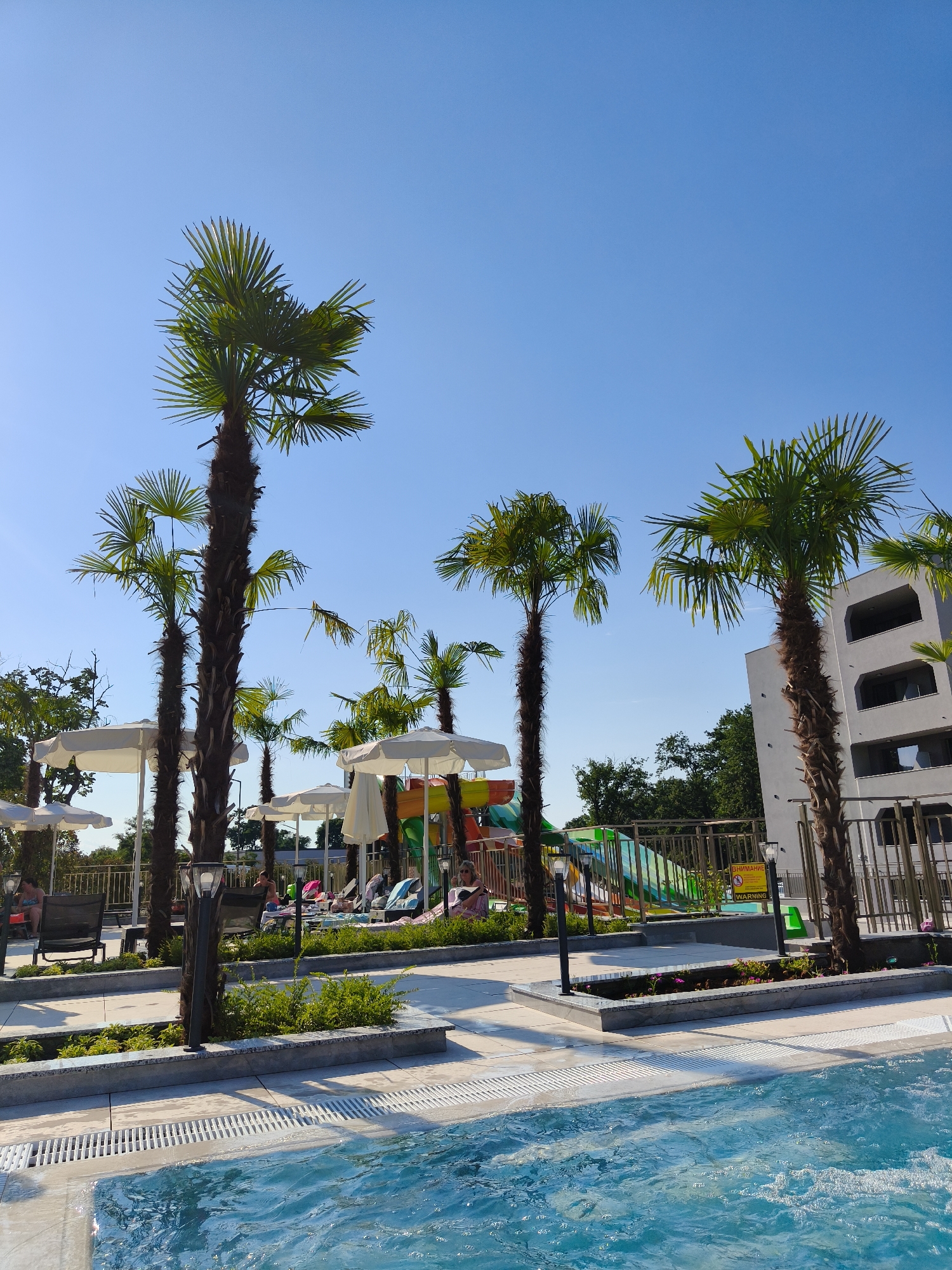 In Kiten, Bulgaria, this image captures a resort pool area bathed in bright sunlight under a clear blue sky. Several tall palm trees are prominently featured, their fronds extending towards the sky. White umbrellas are set up, providing shade to lounge chairs occupied by a few individuals. In the background, a colorful water slide structure is visible, indicating a family-friendly destination. A modern, white building with multiple balconies stands to the right, and a metal fence encloses a section of the property. The foreground shows the clear blue water of the swimming pool, with a tiled edge and drainage grates. The overall scene depicts a tranquil and inviting vacation setting.