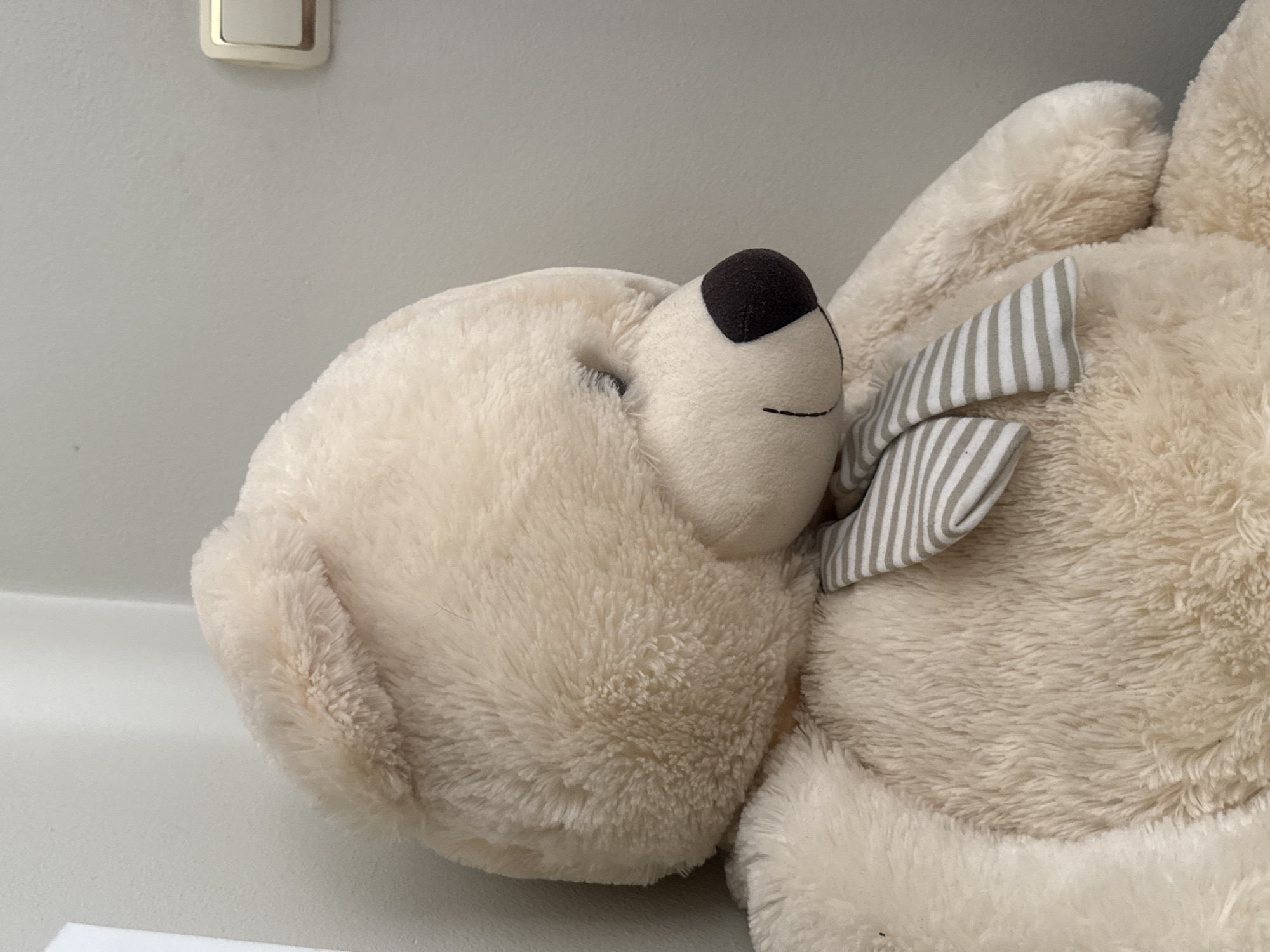 A close-up, profile shot of a cream-colored teddy bear is centered in the frame. The bear is sitting upright, leaning slightly to its left against a light gray wall. It wears a striped scarf in shades of gray and white around its neck. The bear's head is turned to the right, with its eyes closed and its nose pointing forward. The background consists of a plain light gray wall with a light switch visible on the upper right side of the image. The image does not contain any recognizable landmarks or specific features that would indicate a location in Strelcha, Bulgaria, or any other city.