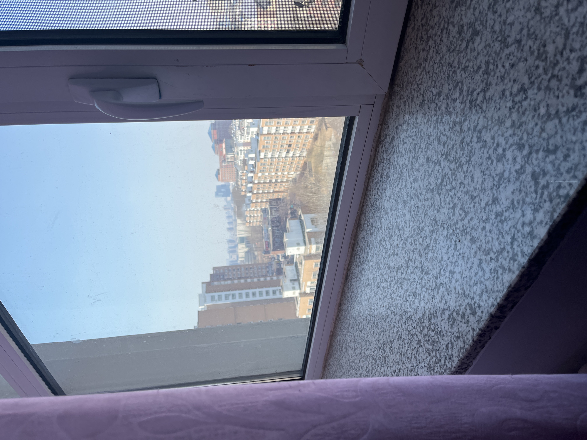 The image depicts an urban landscape in Changchun City, China, viewed from an interior window. A purple curtain is partially visible on the left, adjacent to a speckled light-grey windowsill. A white PVC window frame, equipped with a white handle on the right vertical mullion and a dark mesh screen on the far right, encloses the exterior view. The window glass shows minor surface smudges and marks. Outside, a dense collection of multi-story residential buildings dominates the midground and background, predominantly featuring reddish-brown facades with white window frames and balconies. Bare deciduous trees are scattered among the structures. Taller, more distant buildings are visible under a clear, pale blue sky, exhibiting a slight atmospheric haze. No individuals or specific actions are present in the frame.