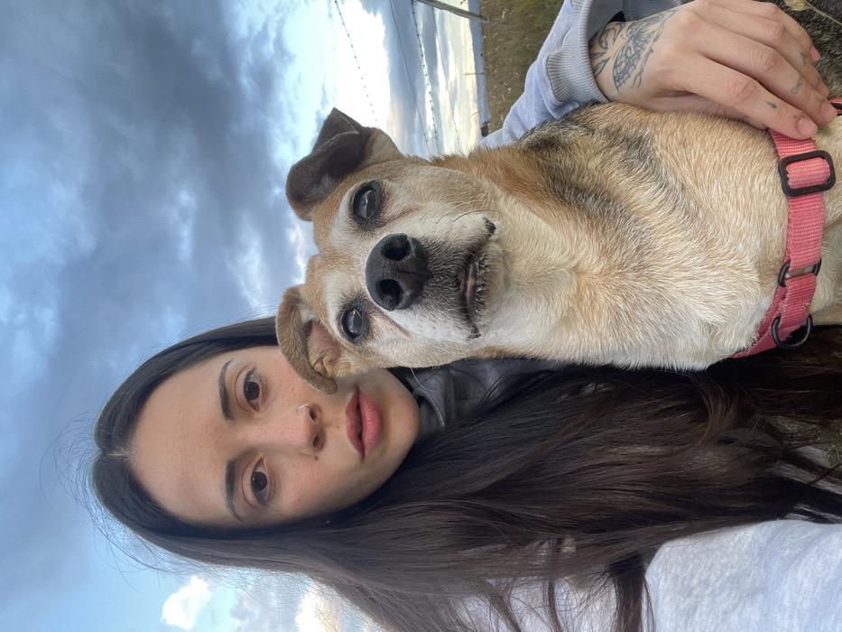 An outdoor portrait captured in Ushuaia, Argentina, depicts a female human subject and an adult dog. The female, positioned on the left side of the frame, has long, dark brown hair, brown eyes, and a silver ring piercing in her left nostril. She wears a light grey hooded sweatshirt. Her left arm is visible on the lower right, displaying multiple tattoos on the forearm. She is holding the dog, a mixed-breed animal with predominantly tan, white, and brown fur, exhibiting grey fur around its muzzle. The dog wears a pink harness with black buckles. Both the human and the dog are facing directly towards the camera. The background shows an open, natural landscape under an overcast sky featuring various shades of blue and grey. A barbed wire fence is visible stretching across the mid-ground on the right, indicating a boundary within an area of sparse, light-colored vegetation.