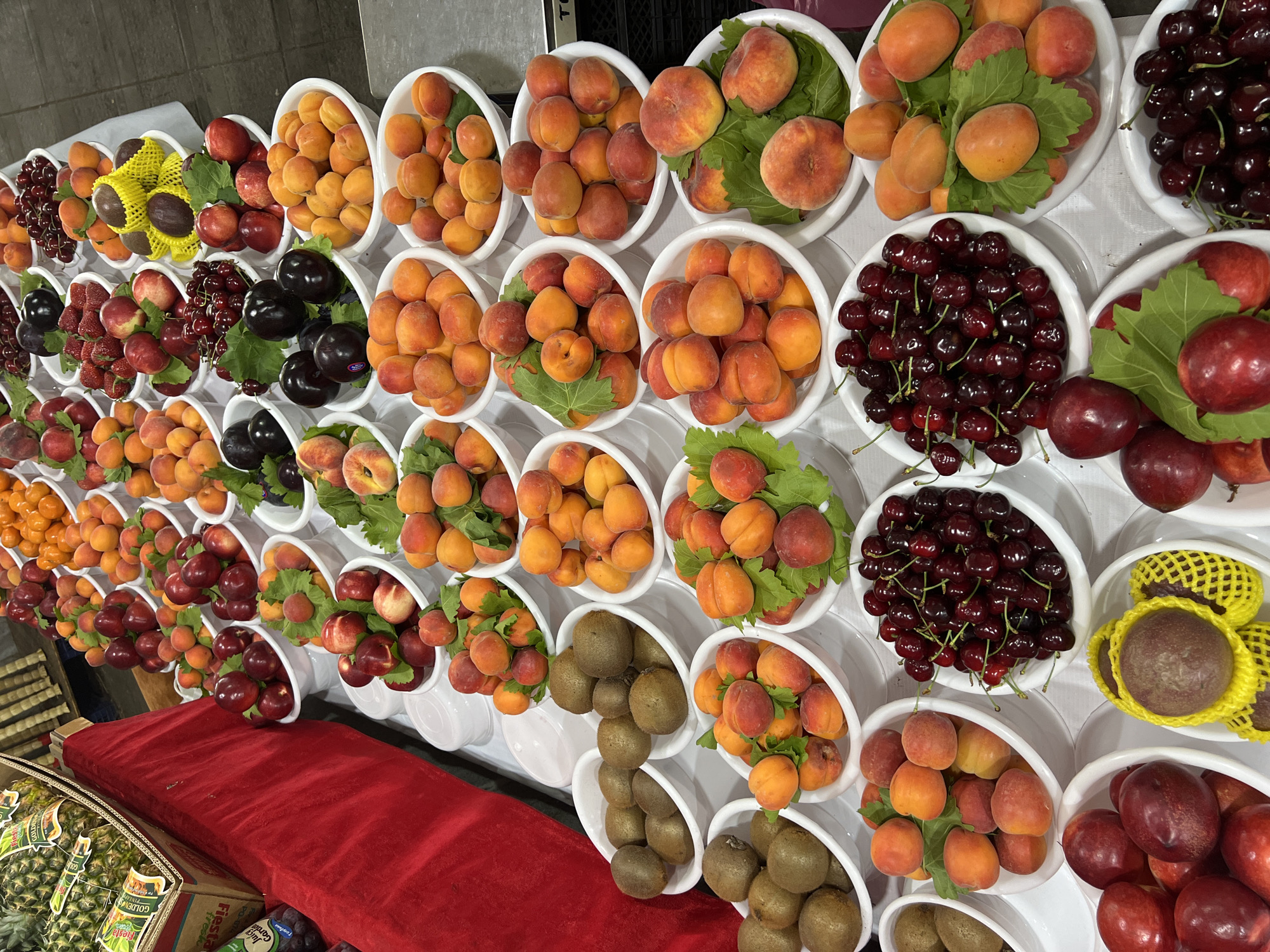 This image captures a vibrant and extensive display of fresh fruits, likely at a market or an exhibition in Tashkent, Uzbekistan. The scene is dominated by numerous white bowls, meticulously arranged in rows and columns, creating a wall-like presentation of produce. A rich red tablecloth covers the counter in the foreground, providing a striking contrast to the colorful fruits.
The variety of fruits on display is impressive, featuring an abundance of apricots in various shades of orange and red, many accompanied by fresh green leaves. Other bowls are filled with ripe peaches, dark red cherries, and plums or nectarines. Kiwis are presented in several bowls, and passion fruits are distinctive in their individual yellow protective mesh. Strawberries are also visible among the smaller bowls.
In the foreground, to the left of the red tablecloth, cardboard boxes are visible, containing additional fruits. One box holds pineapples, with "GOLDEN" clearly visible on its packaging. Another box contains grapes, labeled "Fiesta" and "Juicy Grapes". The overall arrangement emphasizes the freshness and quality of the produce. The setting appears to be indoors or under a canopy, with bright, even lighting that highlights the natural colors of the fruits. No individuals are visible, allowing the focus to remain entirely on the elaborate fruit presentation. The prevalence of stone fruits and cherries suggests a summer season.