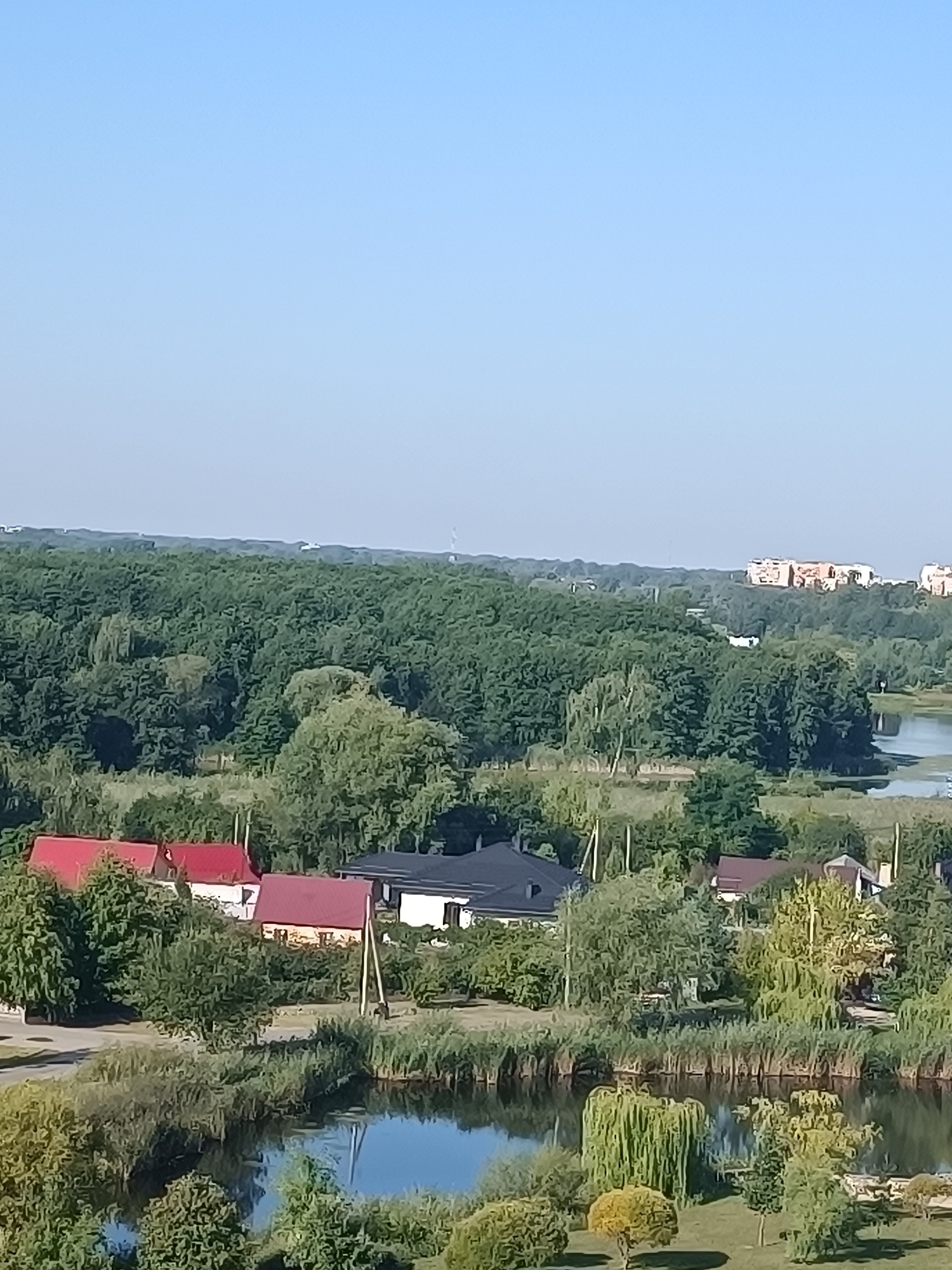 The image shows a panoramic view of a suburban area with residential buildings, lush green trees, and a body of water. In the foreground, there is a small lake surrounded by dense reeds and trees. Several houses with red and dark roofs are visible behind the reeds, interspersed with trees. Further in the distance, a dense forest stretches across the landscape, with a calm lake or river reflecting the blue sky. In the far background, a cluster of multi-story buildings with orange roofs stands out against the horizon. The sky is clear and blue, indicating a sunny day. This scene appears to be from the city of Brest, Belarus, possibly a neighborhood near the Mukhavets River, known for its green spaces and residential areas. No people or specific actions are depicted in the image, but the overall impression is one of a tranquil, natural setting within a developed area.