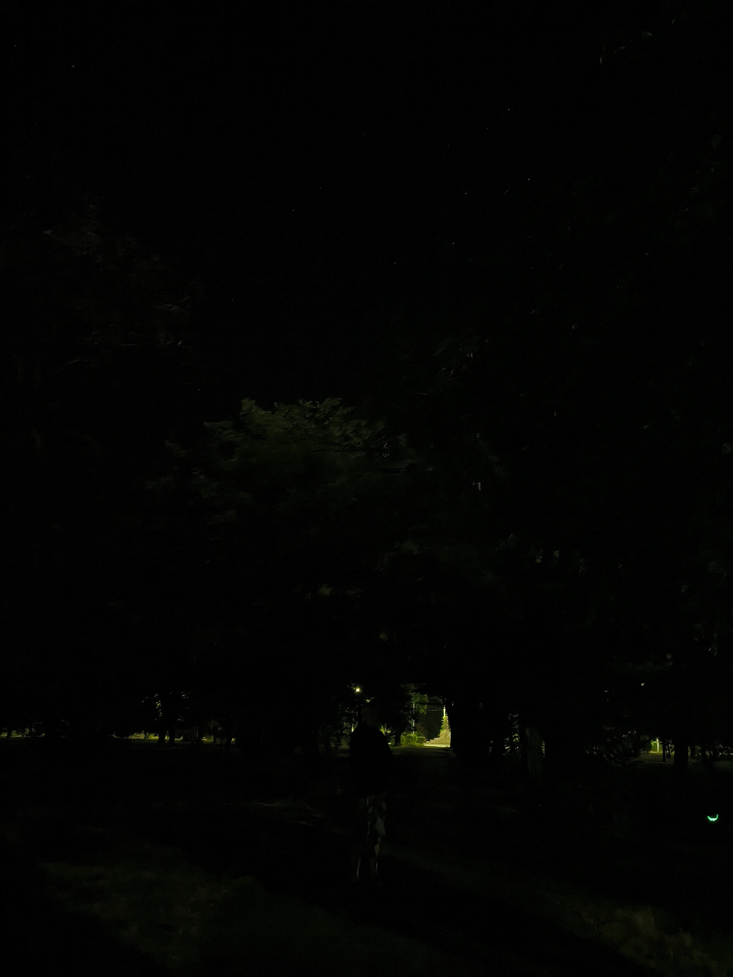 In a dimly lit park in Mykolaiv, Ukraine, at night, a lone figure stands silhouetted against a pathway illuminated by distant lights. The foreground is obscured by darkness, with hints of grass and foliage visible. Trees with dense canopies dominate the midground, their shapes undefined in the low light. In the background, a bright, inviting path stretches between rows of trees, suggesting an entrance or a well-lit area within the park. A small, crescent-shaped green light is visible on the right side of the image. The overall atmosphere is serene and somewhat mysterious due to the limited visibility.