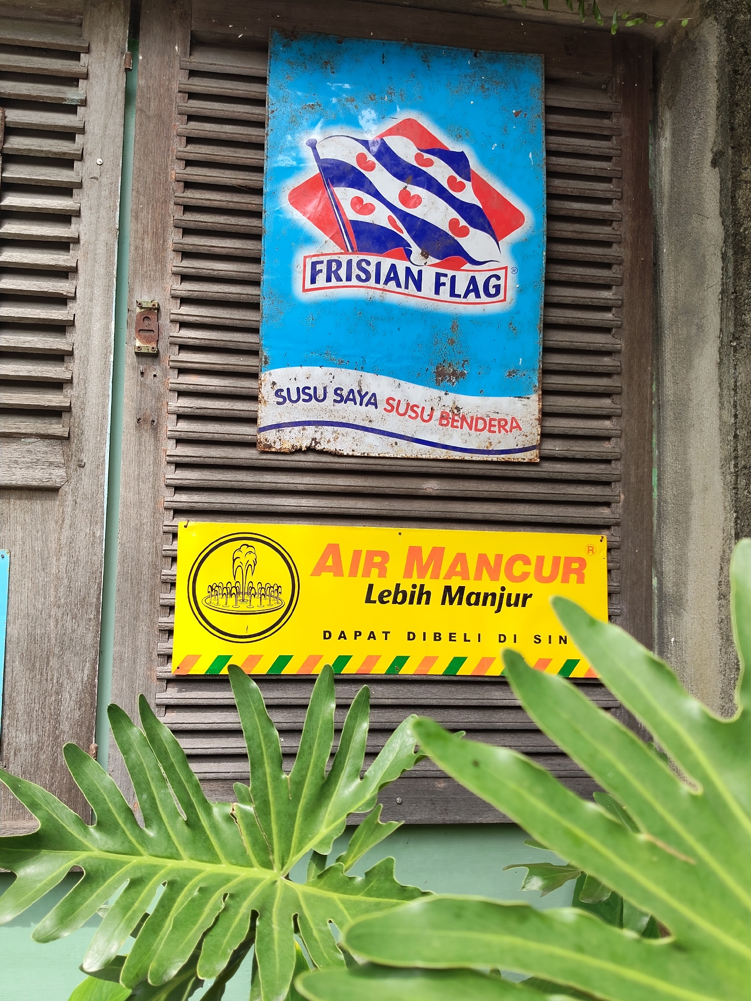 In the city of Medan, Indonesia, two weathered signs are mounted on a wooden slatted door. The top sign, a blue and red "Frisian Flag" milk advertisement, shows flags with hearts. Below it, a yellow sign displays "Air Mancur" in large orange letters, with smaller text below it. A large green plant leaf partially obscures the bottom of the scene.