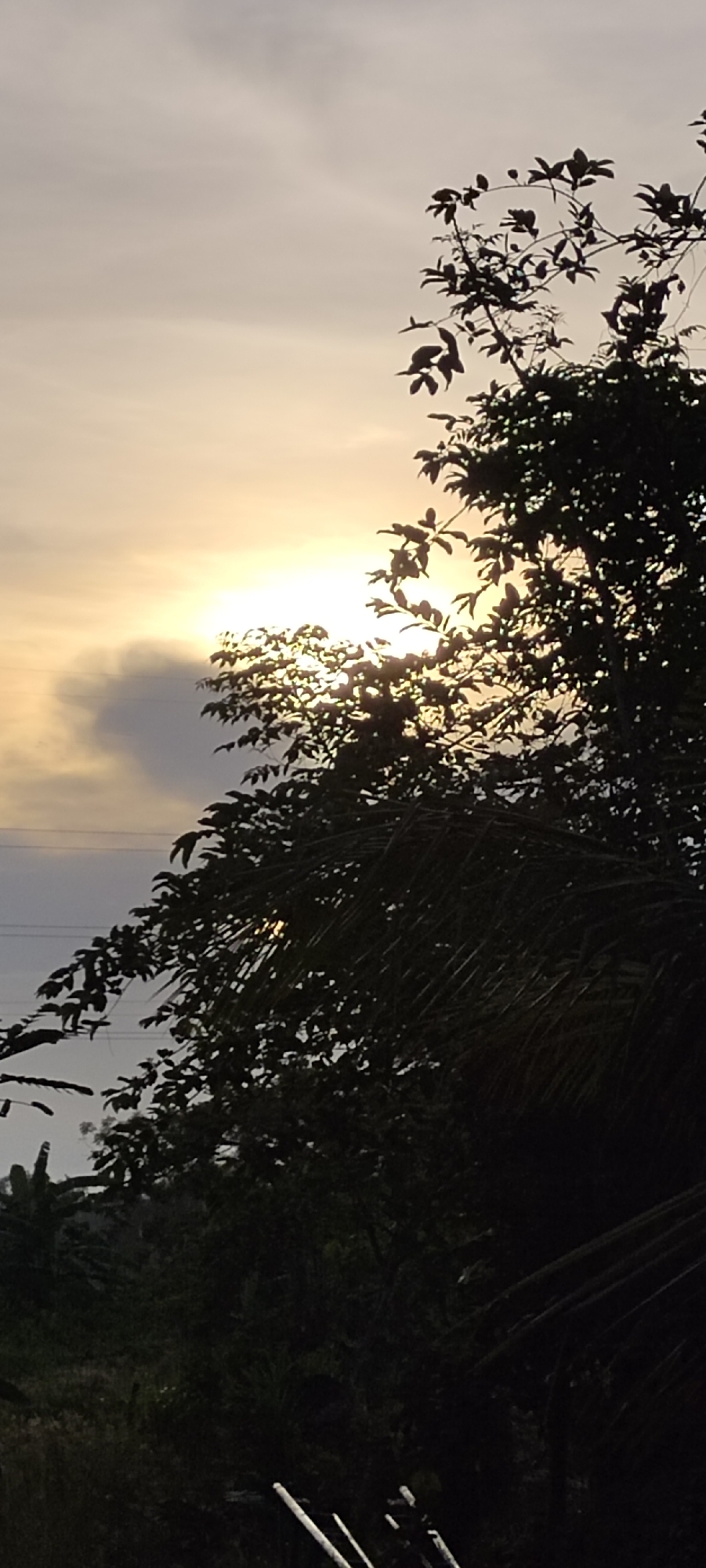 The image depicts a view of the sky with the sun partially obscured by clouds and silhouetted tree branches and leaves. The light from the sun is diffused, creating a soft glow in the sky. In the lower portion of the image, there are hints of greenery and objects that are difficult to discern due to the darkness. No specific details link this image explicitly to Lhokseumawe, Indonesia.