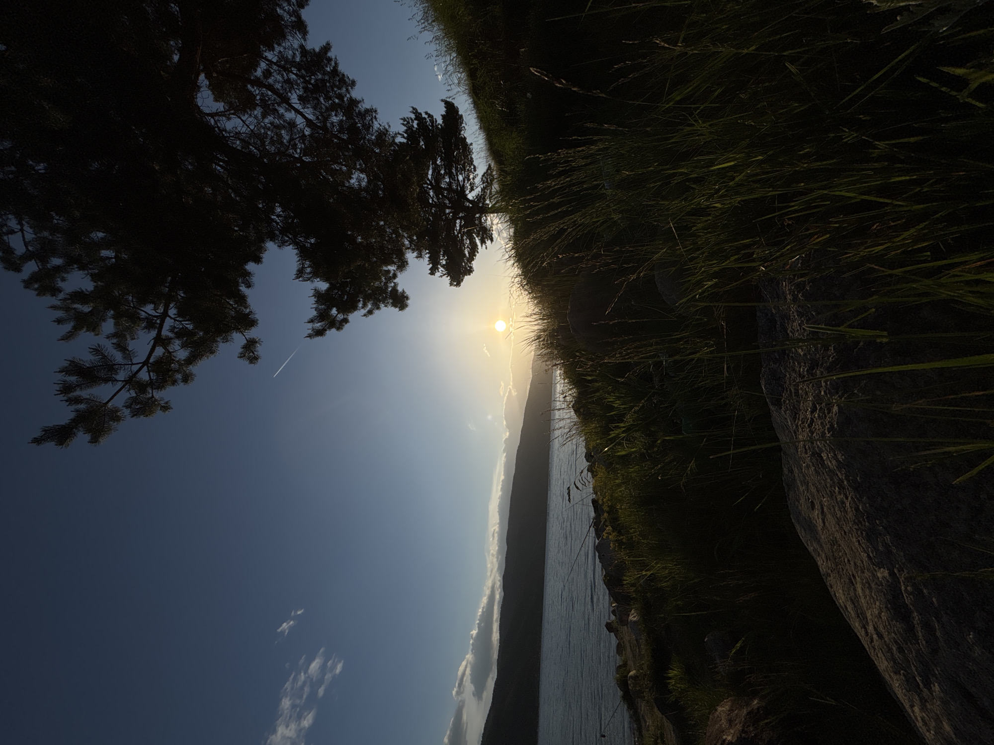 The image shows a landscape at sunset. The sky is predominantly blue with some white clouds. A tree is visible in the upper left corner. The sun is setting over what appears to be a lake or body of water, with a landmass visible in the distance. Grass and a rock are in the foreground on the right. A contrail is visible in the sky. The location is unknown.