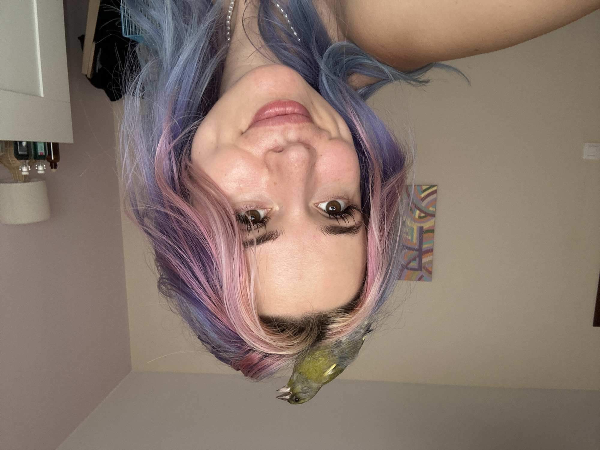 The image shows a young woman with multi-colored hair, featuring streaks of pink, purple, and blue. A small, green bird is perched on top of her head. The woman is looking at the camera and smiling. She is wearing a pearl necklace. In the background, there is a wall with a framed abstract painting and a white cabinet with some bottles on top. The scene appears to be indoors, likely in a bedroom or living space. There is no identifiable information in the image to suggest a location in Gijón/Xixón, Spain.
