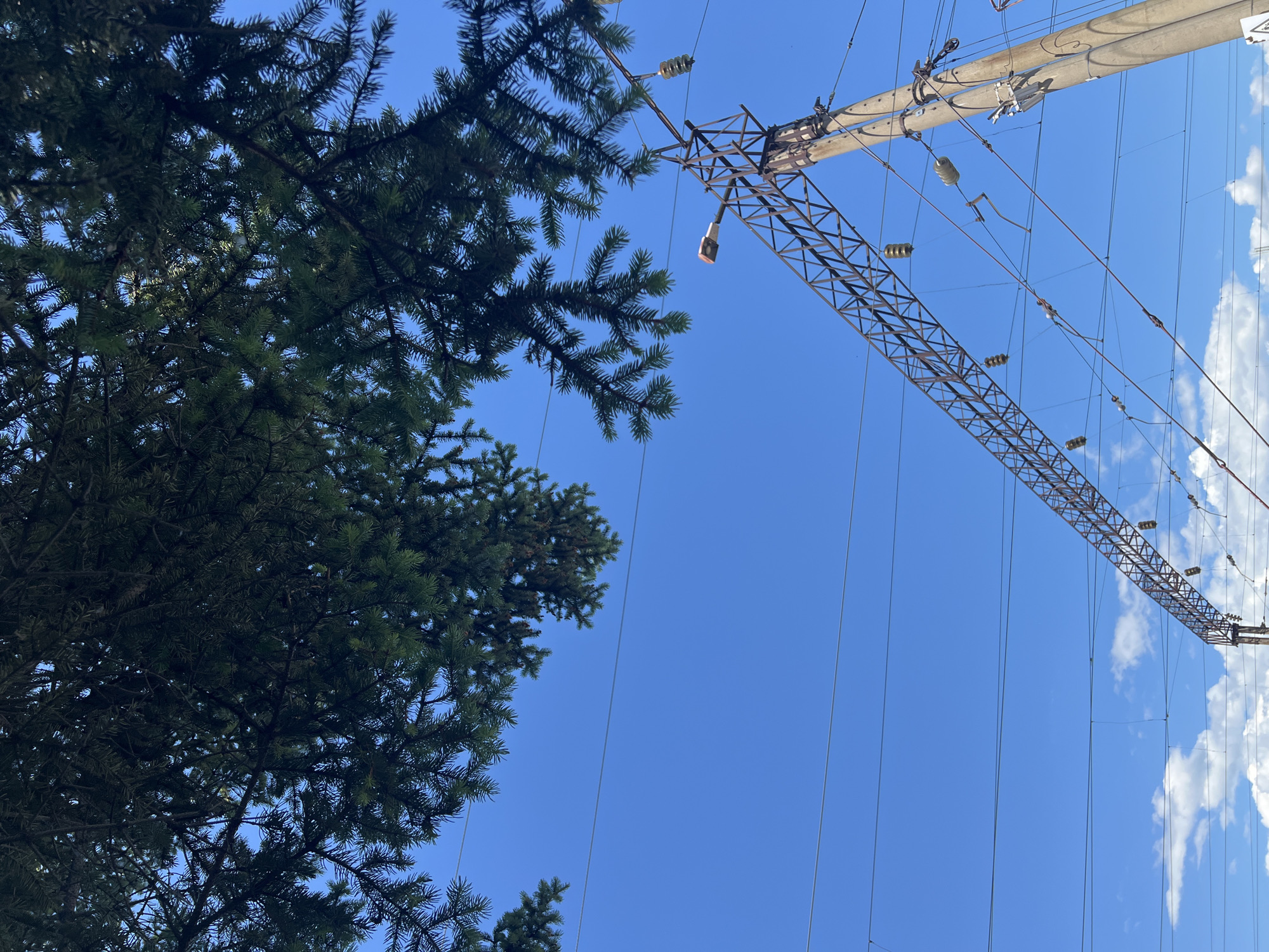 The image is a low-angle shot looking up at a bright blue sky. In the upper left quadrant, the dark green branches of a coniferous tree canopy partially obscure the sky. In the right half of the image, a concrete utility pole with a metal support structure for electrical lines stands prominently. Several electrical wires are strung horizontally across the frame, supported by insulators attached to the pole and the metal structure. A street lamp with an orange-tinted light fixture is attached to the metal structure, pointing towards the viewer. In the lower portion of the image, scattered white clouds are visible against the blue sky. The scene appears to be outdoors, possibly near a railway line or a major road, given the presence of the utility pole and extensive wiring. The location is identified as Pereyaslavka, Russia.