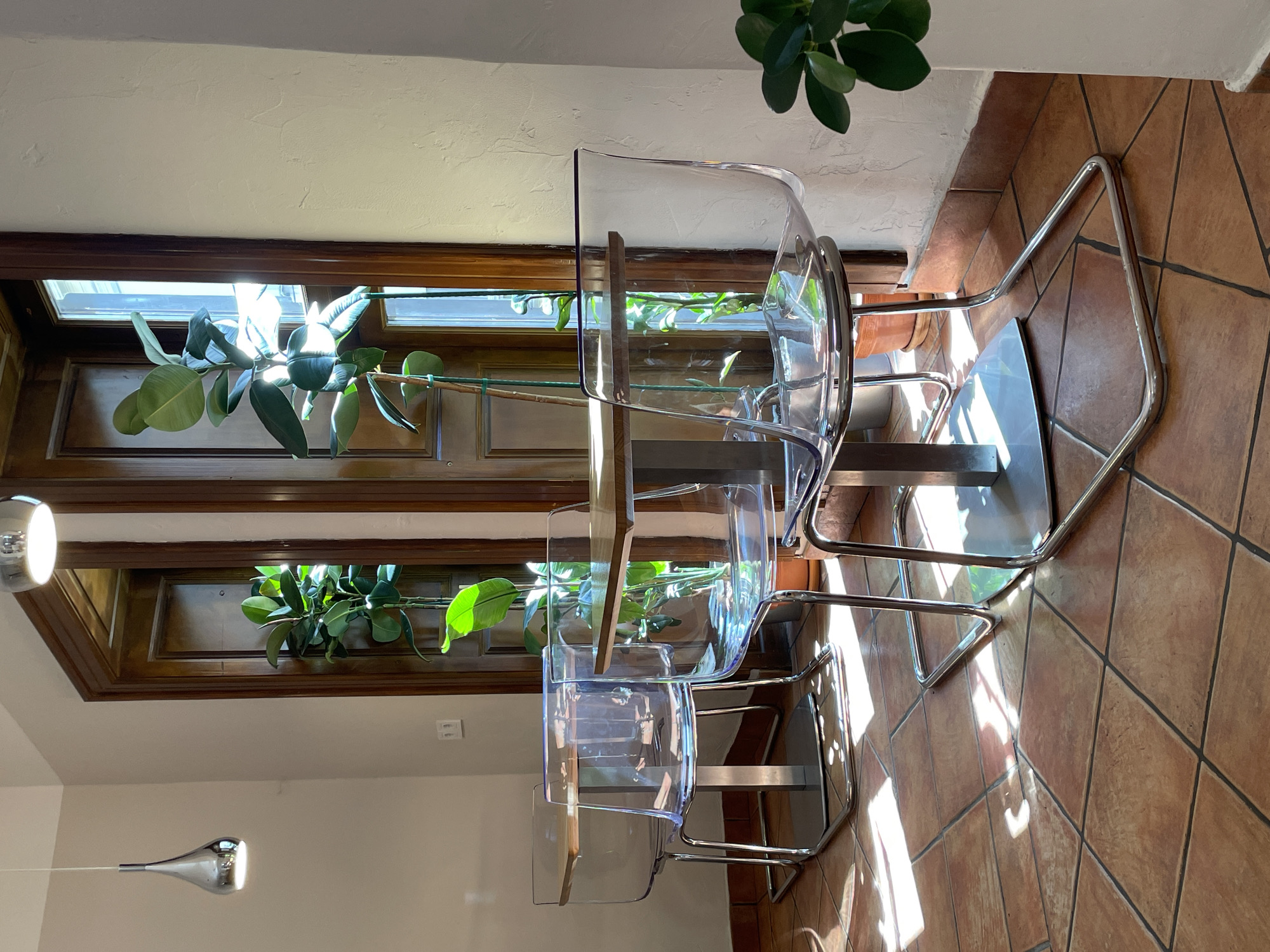 The image depicts an interior scene with a cafe or restaurant setting. Two transparent chairs with chrome legs are positioned around a light wood-top table supported by a central chrome pedestal. The chairs are modern and sleek, allowing light to pass through them. Behind the table and chairs, a tall indoor plant with large, glossy leaves is visible, reaching towards a large wooden doorframe with glass panels. Sunlight streams through the glass, casting dramatic shadows on the terracotta tiled floor. Another similar transparent chair is partially visible in the foreground to the right. The walls are painted in a neutral, light color, and a modern, silver pendant light hangs from the ceiling on the left side of the frame. A dark wooden door is visible behind the plant, suggesting an entrance or another room. The overall ambiance is bright and airy, with a modern aesthetic enhanced by the natural light. There are no people present in the scene. The location is identified as a cafe in Belgrade, Serbia.