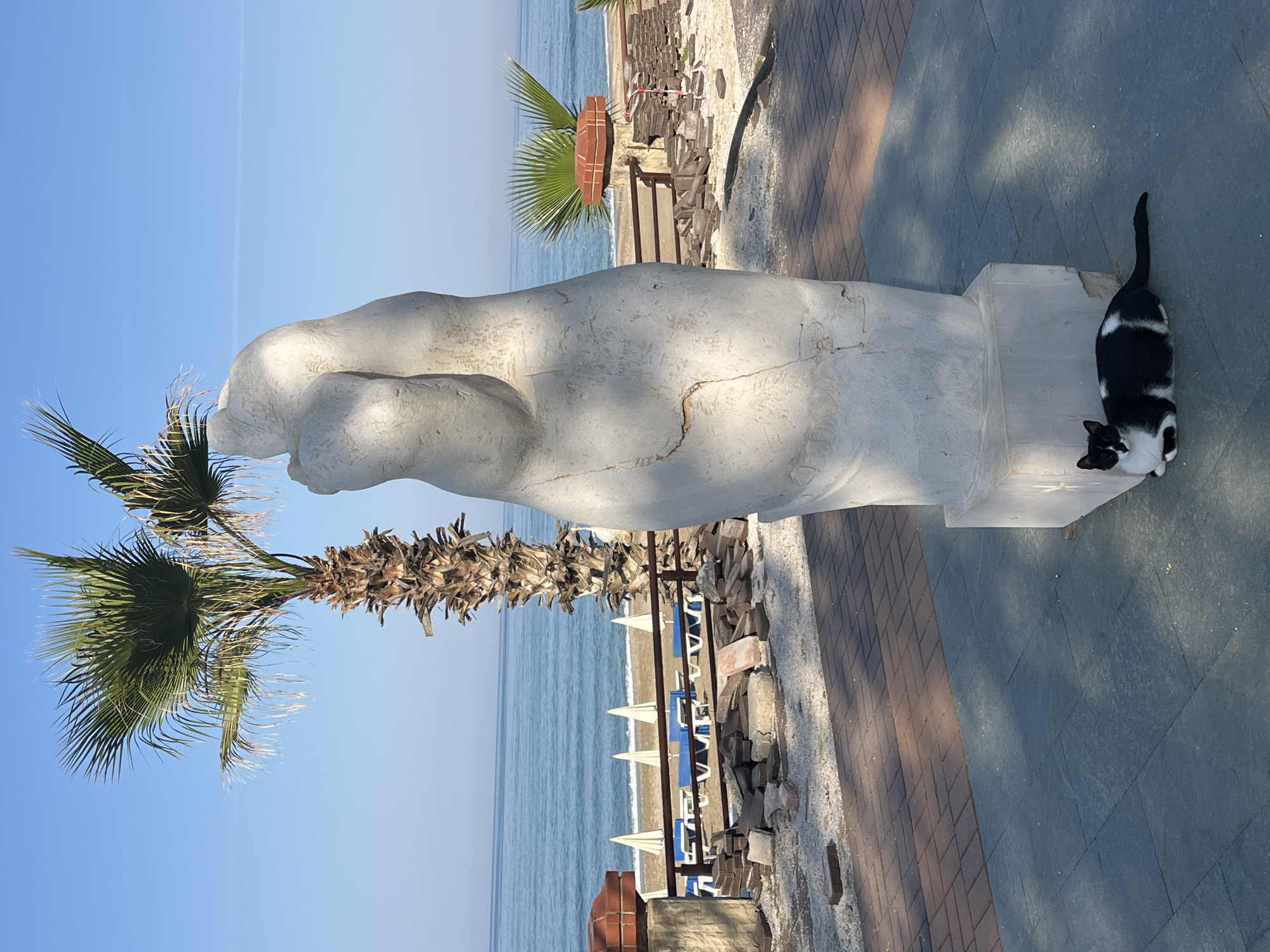 The scene is a beachfront promenade in Alanya, Turkey, showing a large, white marble statue of a clenched fist placed next to a palm tree. The Mediterranean Sea and beach with sun loungers and umbrellas are visible in the background. A black and white cat is resting on the stone base of the statue. The walkway is paved with brick and tile. Building materials, including bricks and metal barriers, are piled up along the edge of the walkway towards the beach. The sky is clear and blue.