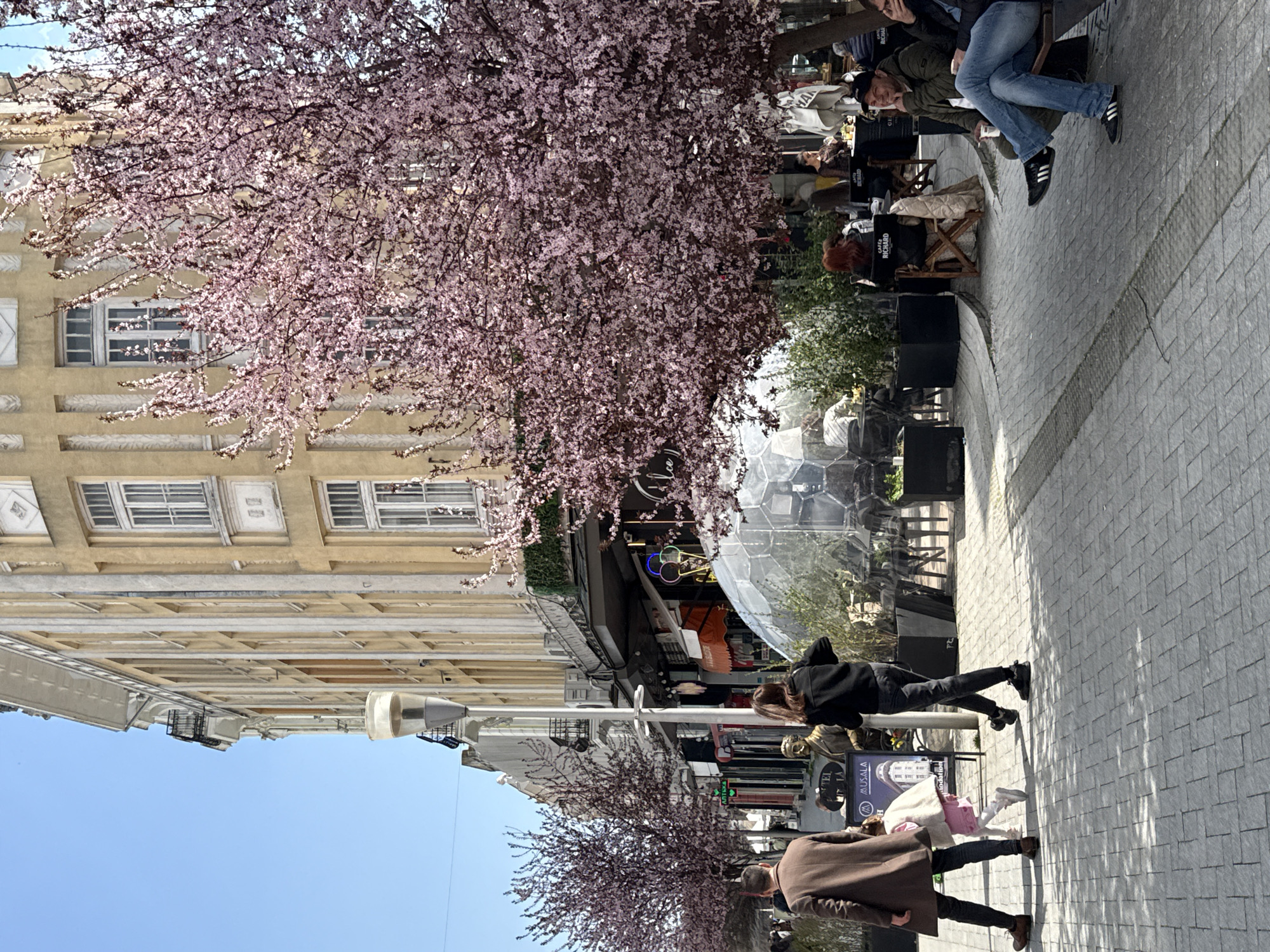 The image captures a street scene in Varna, Bulgaria. A blooming tree with pink flowers dominates the top left of the frame, partially obscuring a beige building with multiple windows. A lamp post stands in the center of the frame. On the right, people are seated at outdoor tables, suggesting a cafe or restaurant. A transparent dome-like structure is also visible near the seating area. In the foreground, several pedestrians walk along the cobblestone street. A man in a brown coat is seen walking next to a woman with a pink bag. Another person in a black jacket is walking in the opposite direction. Shopfronts line the street, with signs and displays visible. The sky is blue and clear.
