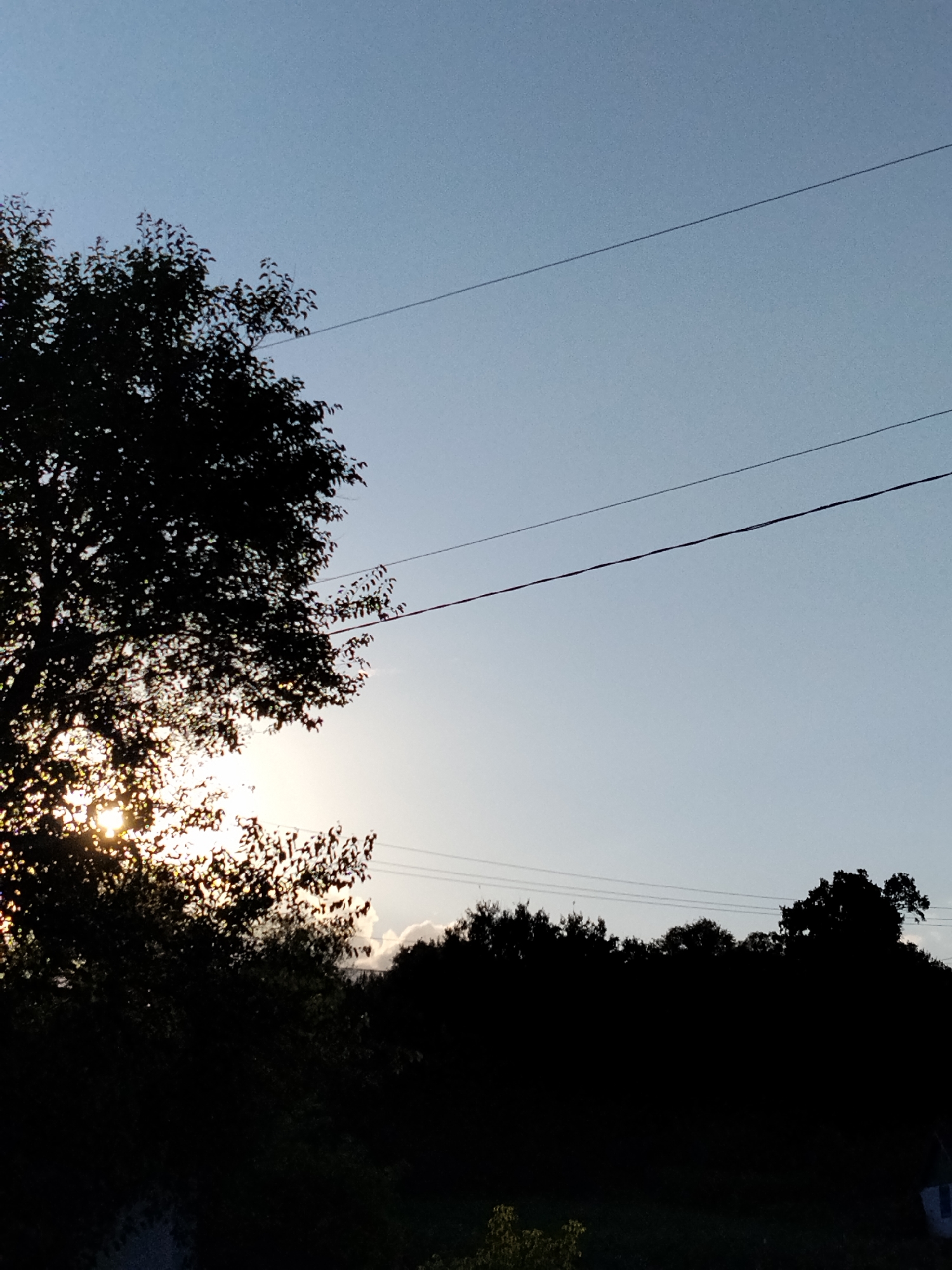 The image shows a silhouetted view of trees against a pale blue sky during sunset. Two power lines run horizontally across the sky. The sun is partially visible behind the foliage of a large tree on the left side of the frame, creating a bright glow and casting shadows. A darker line of trees forms a silhouette along the horizon. The location is identified as Ustyvytsia, Ukraine.