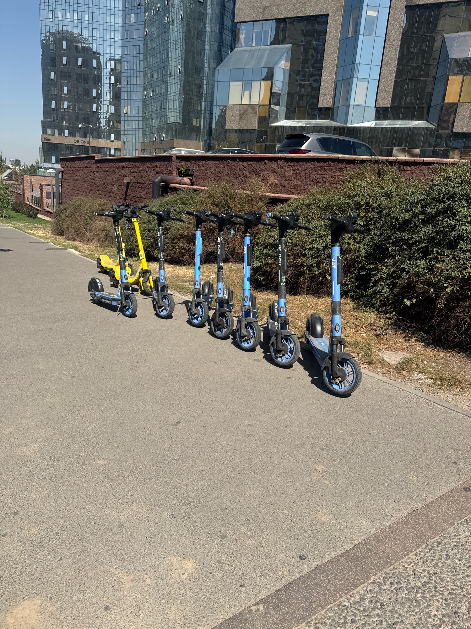 The image depicts a row of electric scooters parked on a paved walkway in front of a brick wall and a modern glass-facade building. The building appears to be commercial, with reflections of the sky and other structures on its windows. A grey SUV is visible parked behind the brick wall. The scooters are predominantly blue and black, with one yellow scooter positioned at the far left of the row. The walkway is adjacent to a street or path made of asphalt, and a strip of green foliage lines the area behind the brick wall. The scene suggests an urban environment, likely in Almaty, Kazakhstan, given the architectural style and the presence of shared electric scooters, which are common in the city. The lighting indicates it is daytime, with a clear sky. There are no people visible in the frame.