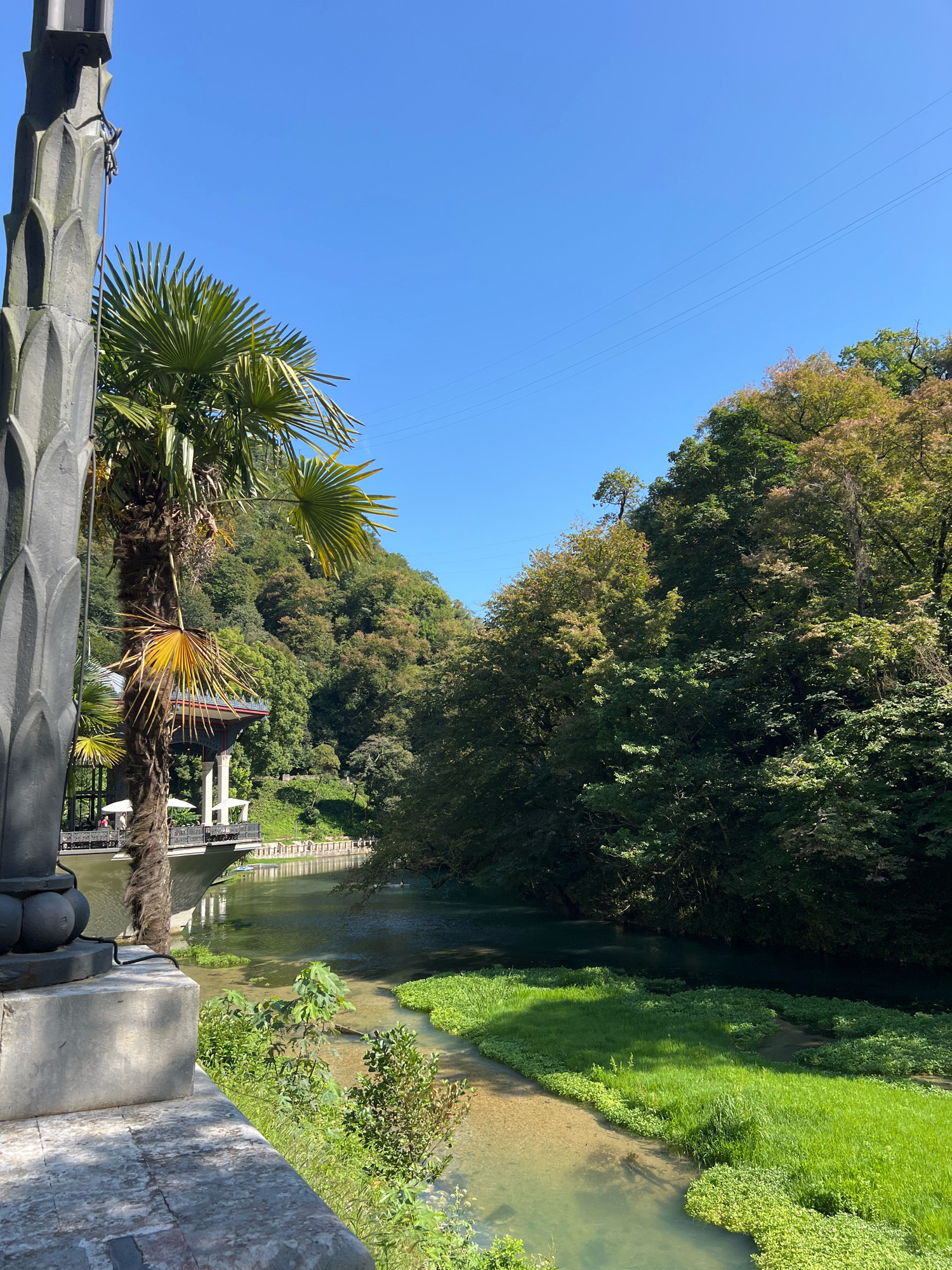 This image captures a serene view of a river flowing through a lush, green environment with steep, tree-covered hills in the background. The scene appears to be set in New Athos, Abkhazia, given the presence of a distinctive ornate structure on the left, resembling a classical column or monument with decorative carvings and a dark cap.
In the foreground, the clear, shallow river reveals its rocky bed and is bordered by vibrant green grass and aquatic plants. The water is calm, reflecting the bright blue sky above. On the left side of the river, a raised walkway or promenade is visible, with white umbrellas and tables suggesting a cafe or restaurant. A palm tree with vibrant green fronds stands prominently in front of this area, adding a tropical touch to the landscape.
Further into the scene, a bridge arches over the river, and beyond it, more of the riverside is lined with greenery and trees. The background is dominated by dense, verdant forests that ascend the hillsides, creating a picturesque and natural backdrop. The overall impression is one of tranquility and natural beauty, typical of a scenic riverside location. The lighting suggests it is daytime, with the sun casting distinct shadows. There are no visible people actively engaged in significant actions, though a few figures are faintly discernible on the promenade in the mid-ground. The presence of overhead wires, possibly for power or a cable car, is a subtle indication of human infrastructure within the natural setting.