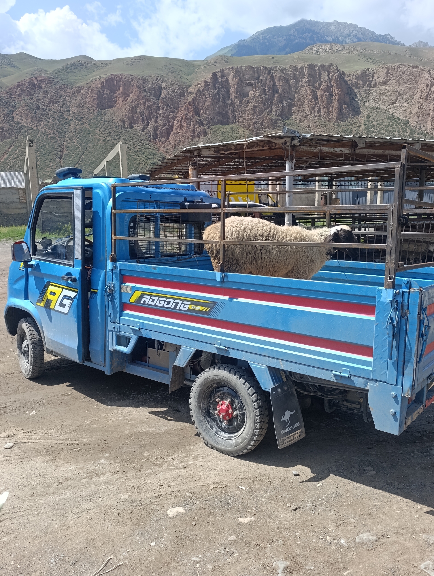 A blue, three-wheeled truck is parked on a dirt road in front of a building with a covered, open-sided structure. The truck has a cage in the back with a sheep inside. The truck has "RG" and "ADGONG" logos on its side. In the background, there are mountains and a cloudy sky. The location is Naryn City, Kyrgyzstan.