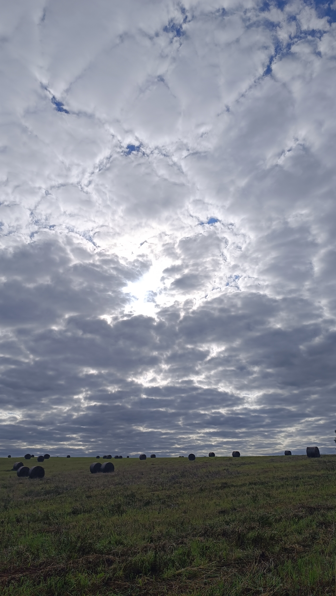 An overcast sky dominates the upper portion of the image, with patches of sunlight breaking through the dense clouds. The lower portion of the image features a grassy field with numerous dark, cylindrical bales of hay scattered across it. The bales are arranged in a seemingly random pattern, stretching across the horizon. The field appears to be on a gentle slope, with the bales situated on the crest of the hill. The lighting suggests it is daytime, likely late afternoon or early morning, given the muted sunlight. The scene is tranquil and rural, with no people or structures visible in the immediate vicinity. The overall impression is one of a harvested field under a dramatic, cloudy sky.