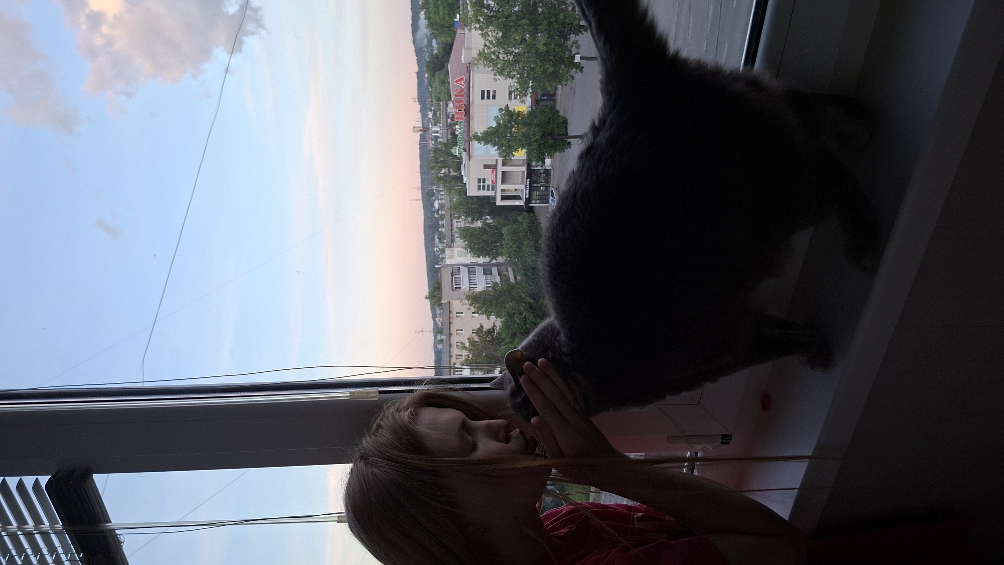 The image shows a young girl with blonde hair leaning towards a large, dark gray cat on a windowsill. The cat is positioned on the windowsill, appearing to lean towards the girl, with its head obscured by its body. The girl is looking towards the cat, with her hands near its face, suggesting a moment of interaction or affection. She is wearing a pink shirt.
The background reveals a view of a city from an elevated position, likely a window in an apartment building. The cityscape includes multi-story buildings and trees. The sky above is a soft gradient of blue, transitioning to a pale pink and orange at the horizon, indicating either sunrise or sunset. Wisps of clouds are visible in the sky. Thin wires stretch across the frame, indicating power lines or similar infrastructure common in urban environments.
Visible text on a building in the background appears to read "ПЯТЕРОЧКА", a Russian supermarket chain. The overall mood is intimate and peaceful, capturing a quiet moment between a child and her pet against the backdrop of a serene twilight sky over the city of Chaikovsky, Russia. The image is oriented vertically, with the sky and cityscape occupying the upper portion of the frame and the girl and cat dominating the lower half.