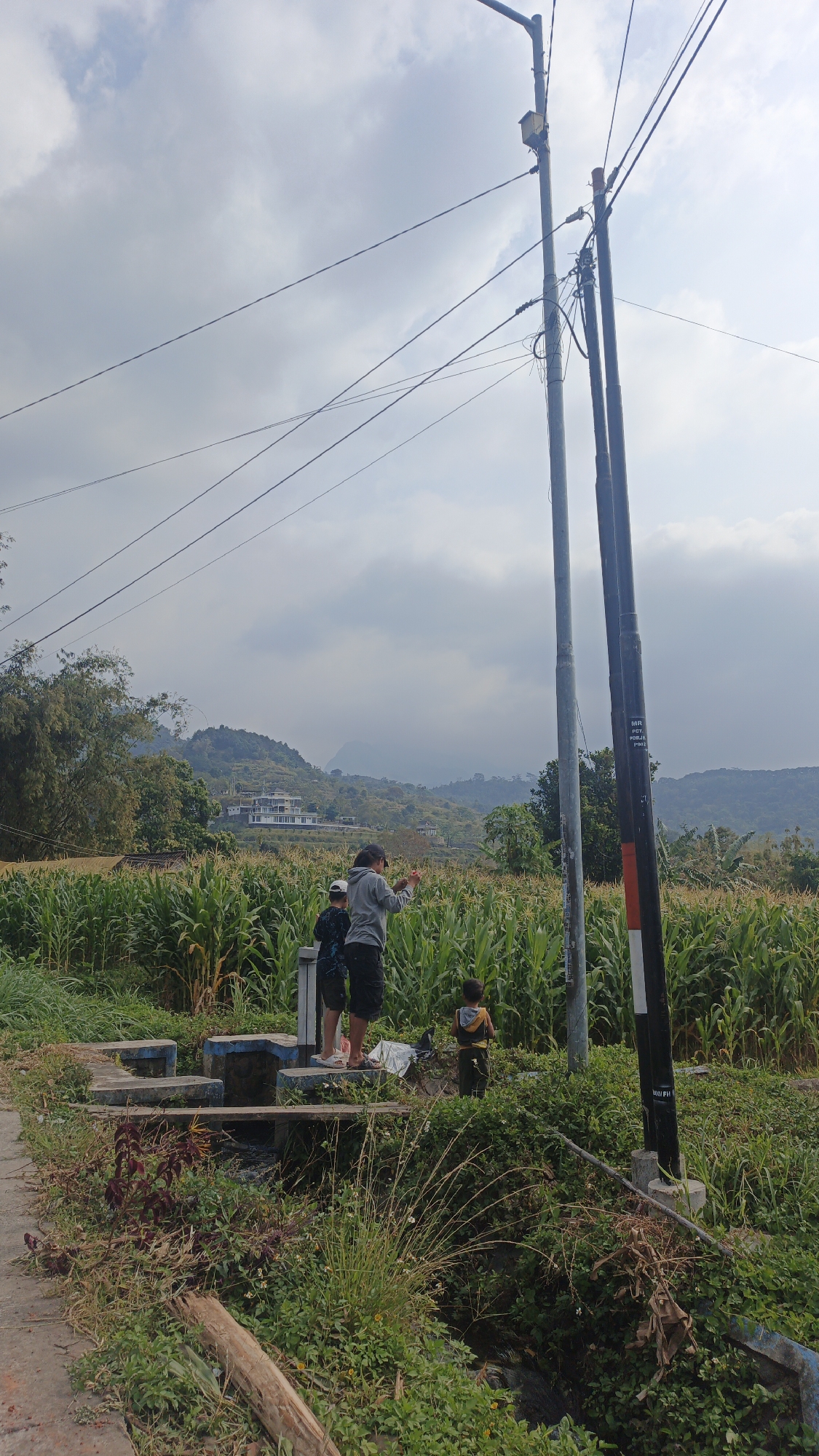 The image depicts an outdoor scene in Sajen, Indonesia, with a cornfield dominating the midground. A group of three people, two adults and one child, are gathered near a concrete structure with blue accents, possibly a water source or a bench, on the left side of the frame. They appear to be interacting, with one adult holding something up. A young child stands slightly apart, facing the adults. In the background, a hilly landscape with scattered buildings and trees is visible under a cloudy sky. Utility poles with numerous wires are a prominent feature in the foreground, extending upwards and across the sky. The foreground also shows vegetation and a rough path.