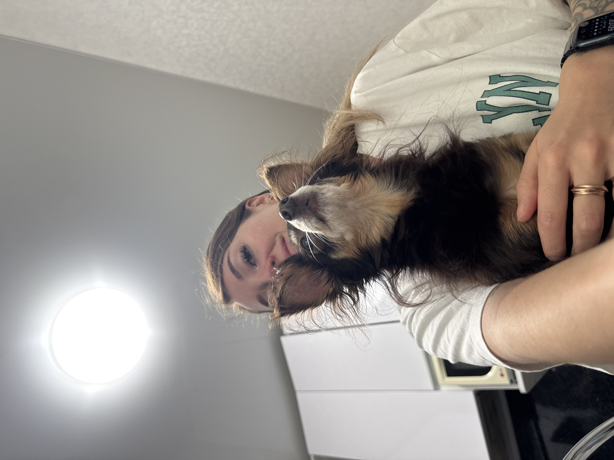 A low-angle, close-up shot captures a woman holding a small, long-haired dog in front of a white cabinet. The woman, positioned in the upper portion of the frame, is looking upwards towards a bright, circular light fixture on the ceiling. She has long, brown hair and is wearing a white t-shirt with green lettering. The dog, mostly filling the center of the frame, has dark brown and tan fur and is looking up and to the right. Its ears are perked, and it appears to be sniffing the air. The background includes a white cabinet with a yellow appliance on a shelf, suggesting an indoor setting, possibly a kitchen. The image is taken in Chaikovsky, Russia.