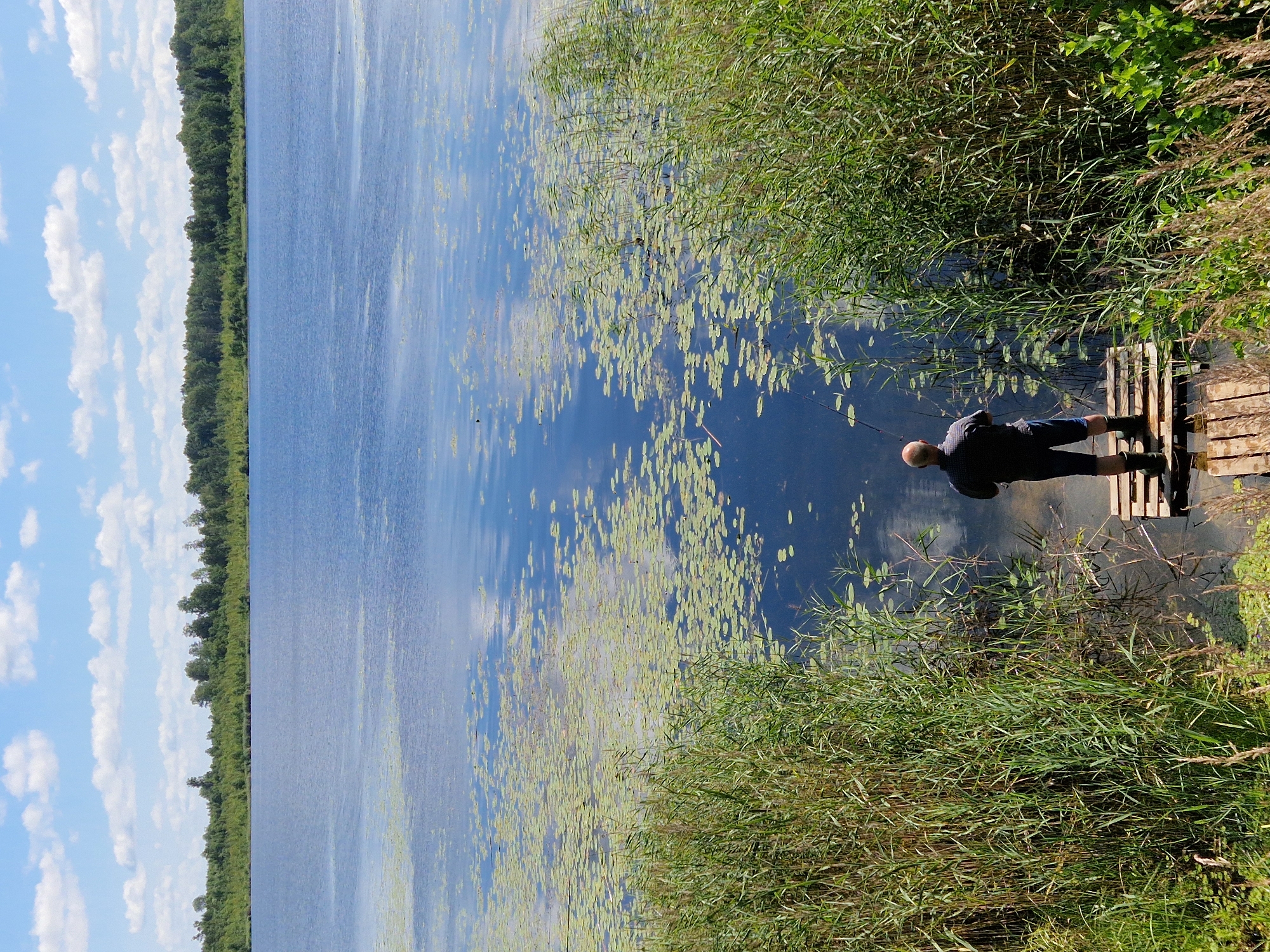 A person is fishing on a small wooden platform at the edge of a large body of water. The person is wearing a checkered shirt and dark shorts, and is facing away from the camera, looking out at the water. The water is calm and reflects the blue sky with white clouds. There are lily pads scattered across the surface of the water. Tall reeds and grasses grow along the bank of the water. In the background, a dense forest lines the horizon. The location is Negaidāni, Latvia.