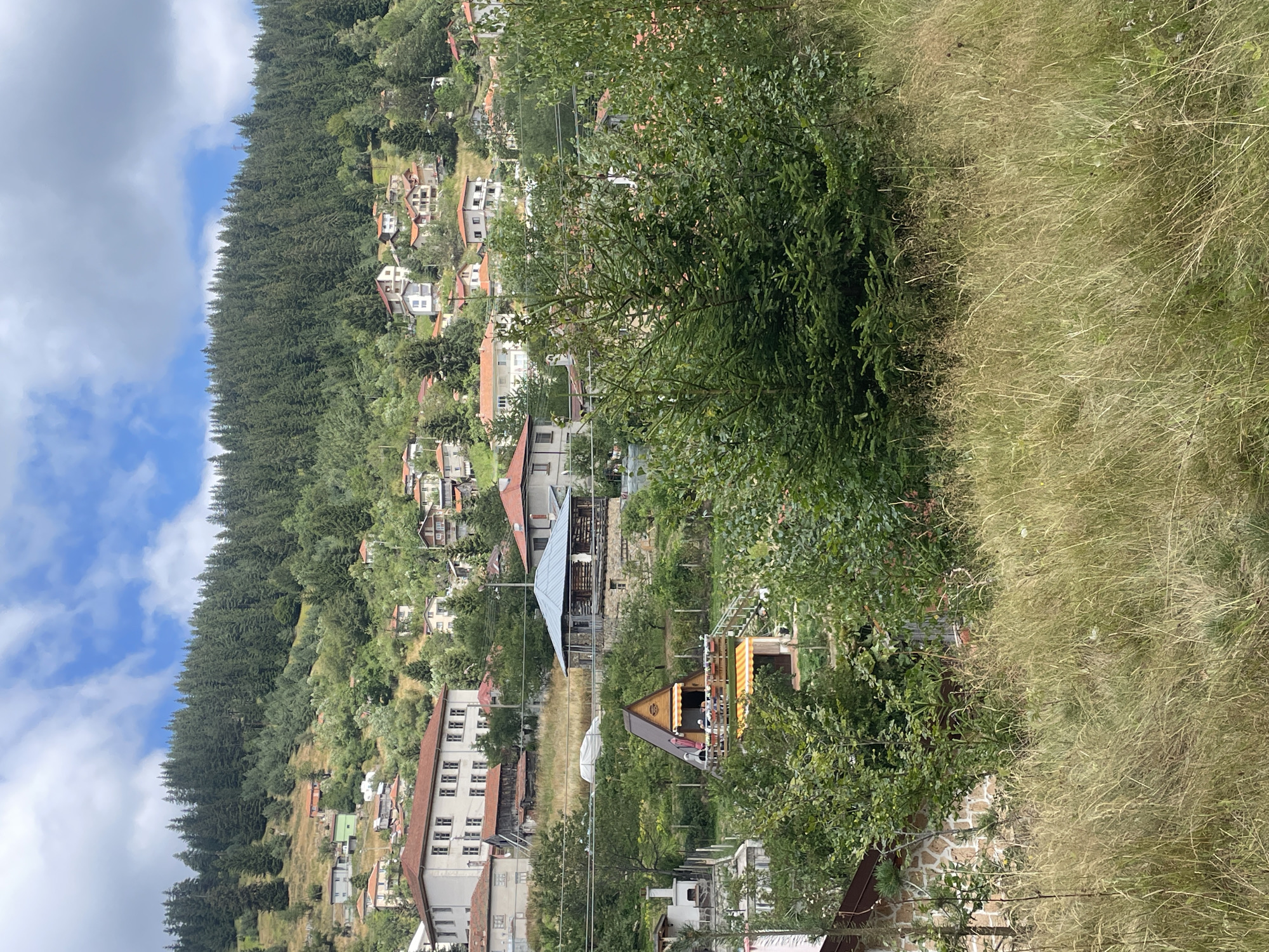 The image depicts a hillside village in Manastir, Bulgaria, characterized by a cluster of houses with red-tiled roofs interspersed with dense evergreen trees and lush vegetation. The houses vary in architectural style, with some appearing to be multi-story residences and others smaller structures, possibly guest houses or ancillary buildings. The terrain is uneven, with the village built on a slope that leads up to a thick forest. In the foreground, tall, dry grass dominates the landscape, suggesting a rural or mountainous setting. The sky is partly cloudy with patches of blue sky visible. The overall impression is of a tranquil, somewhat remote community nestled within a natural, forested environment.