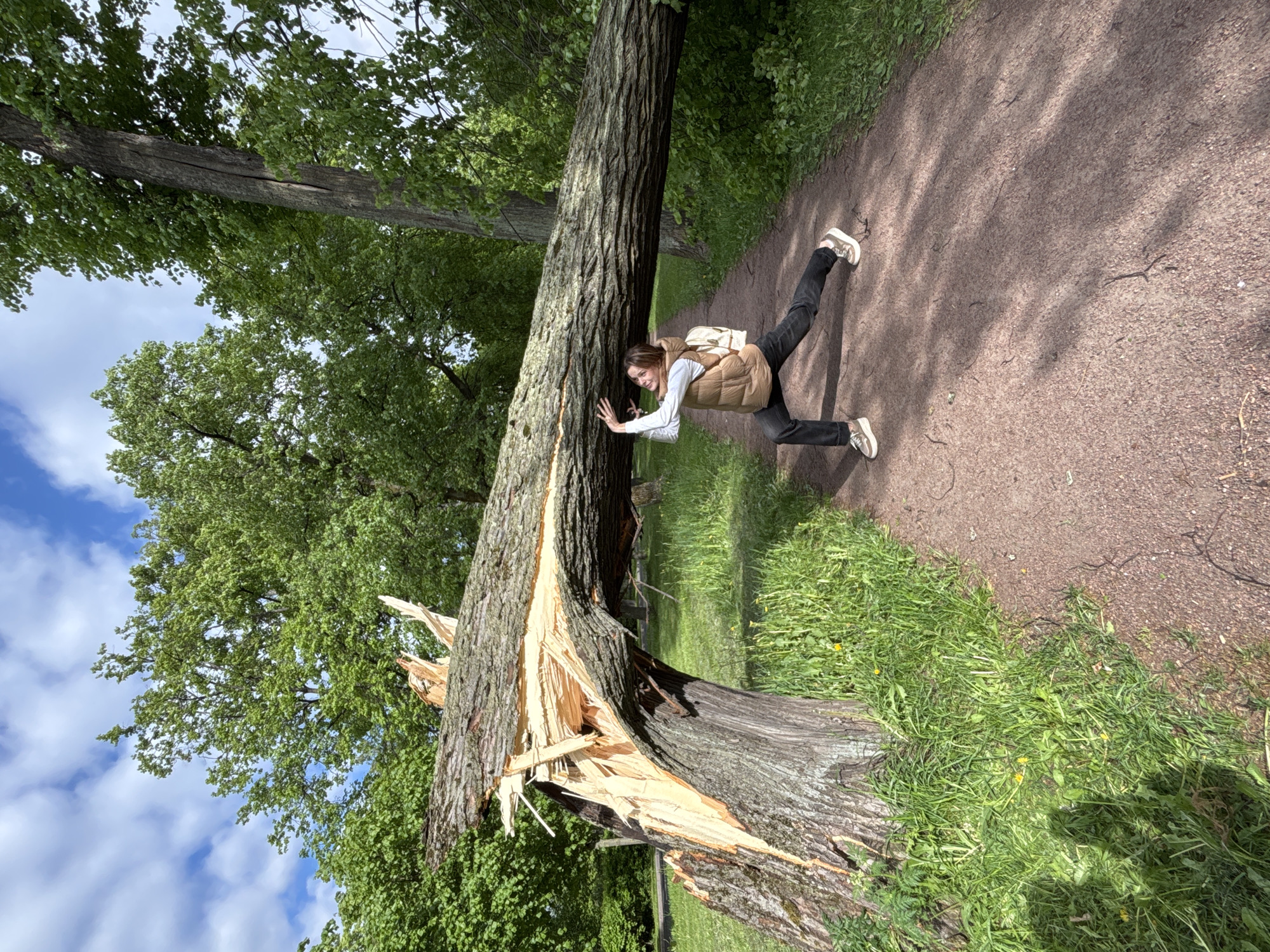 A woman in a tan vest, white shirt, and black pants leans against a large, fallen tree on a path. The tree's trunk is split open, revealing the light wood inside. Lush green foliage surrounds the area. The location is likely a park in Saint Petersburg, Russia, judging by the typical environment, common architecture, and style.