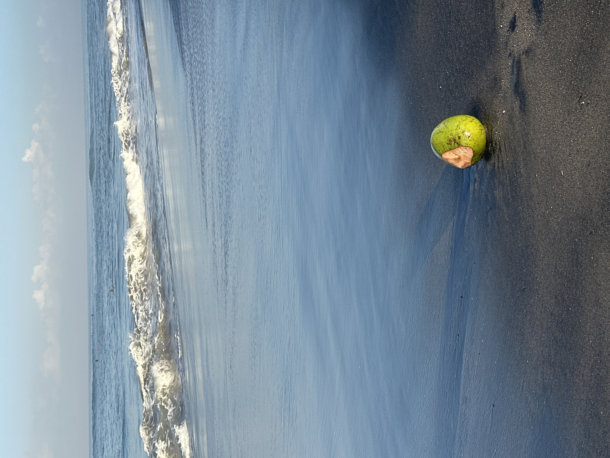An overhead drone shot captures a serene beach scene in North Kuta, Indonesia. The foreground is dominated by dark, wet sand, glistening under soft light. In the mid-ground, a single, bright green coconut rests on the sand, its husk partially peeled away. To the left of the coconut, a faint shadow is cast. The ocean stretches out to the horizon, with gentle waves lapping at the shore. The water is a deep blue, reflecting the clear sky above. A few small clouds dot the horizon. In the distance, several figures can be seen in the water, some appearing to be surfers. The overall impression is one of tranquility and natural beauty.