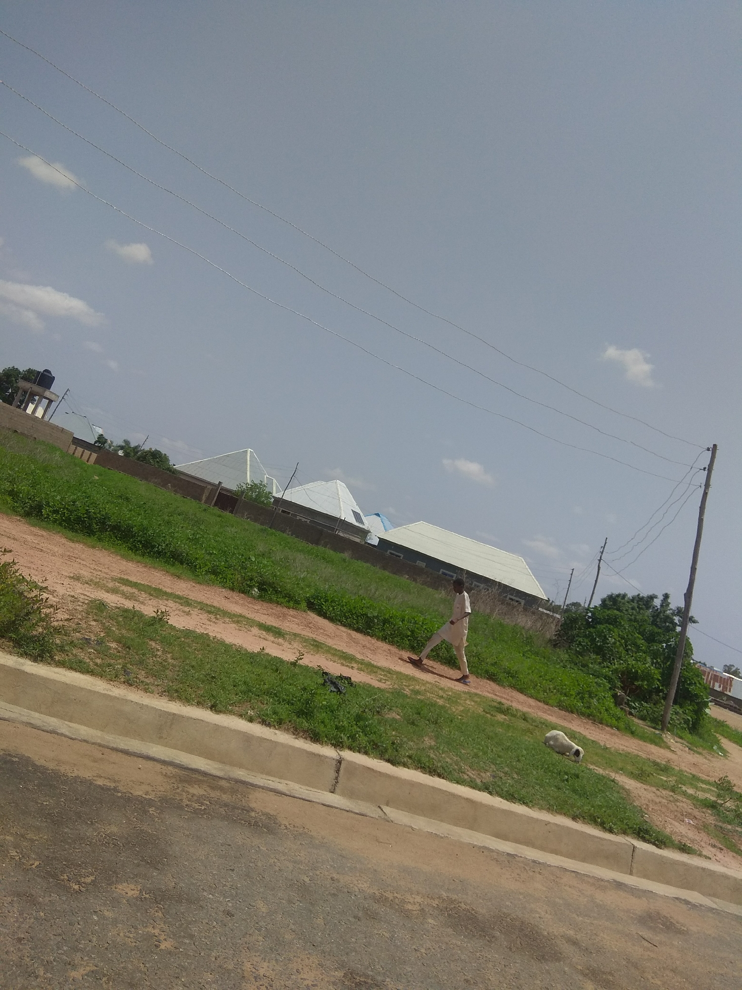 In Jalingo, Nigeria, under a bright, partly cloudy sky, a person walks along a dirt path that slopes upwards. They are dressed in light-colored clothing. To their left, a lush, green field is bordered by a low, brown wall and behind that, a modern building with a distinctive white, pyramid-like roof. Further in the distance, other structures and trees are visible. To the right of the path, a single utility pole with wires stretches across the frame, and a cluster of trees stands tall. The ground in the foreground is a mix of asphalt and a concrete curb, suggesting the edge of a road. A white animal, possibly a dog, rests on the grass near the curb. The scene appears to be an outdoor, daytime setting, likely in a developing area with a mix of residential and utility infrastructure.