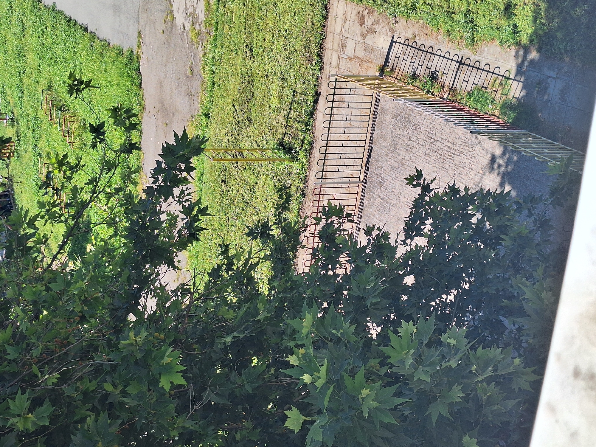 This is an eye-level, medium shot from a high vantage point, capturing a portion of a city courtyard in Varna, Bulgaria. The foreground is dominated by the lush green foliage of a large tree, with its leaves casting dappled shadows on the scene below. To the right, a paved pathway runs alongside a strip of green grass. In the middle ground, there is a small, fenced-off concrete area with a black metal gate. The fence itself is a combination of black metal and yellow and white painted metal sections. Beyond this fenced area, more green grass is visible, with some yellow playground equipment, possibly swings or climbing structures, scattered within it. The overall impression is one of an urban green space, likely a residential courtyard or a small park.
