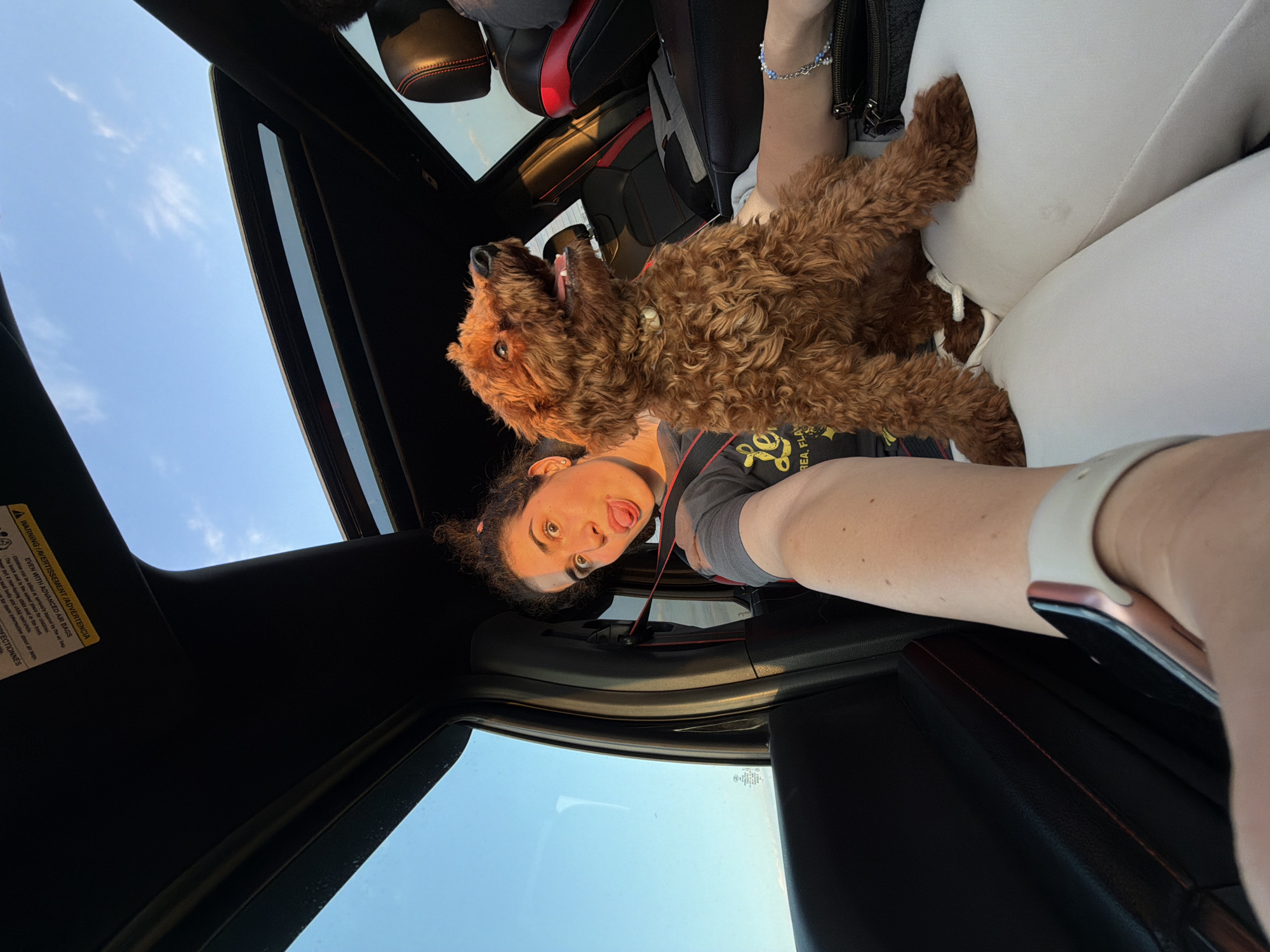 The image shows a young woman and a dog inside a car. The woman is in the foreground, leaning back with her tongue sticking out playfully. She has curly dark hair pulled back and is wearing a dark t-shirt. A small, fluffy brown dog is perched on her shoulder, looking up with its mouth slightly open. The car appears to have a sunroof open, with a bright blue sky and some clouds visible above. The interior of the car has black leather seats with red stitching. There is some visible text on a yellow warning label attached to the car's sun visor. The overall impression is a fun, candid moment captured while the subjects are in the car, possibly on a trip. The lighting suggests it is daytime, with the sun casting warm tones on the woman's face.