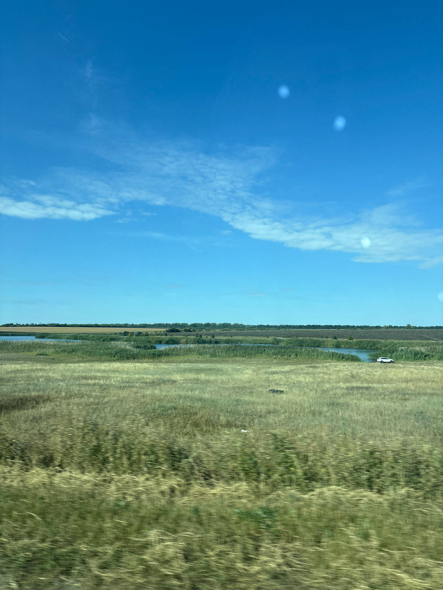 A wide-angle shot captures a vast, open landscape under a bright blue sky dotted with scattered white clouds. The foreground is dominated by a field of dry, yellowish-green grass, blurred by motion, suggesting the photograph was taken from a moving vehicle. Beyond this, a body of water, possibly a lake or river, is visible, lined with reeds and denser green vegetation. In the distance, a flat horizon is marked by a line of trees and fields, with a hint of a darker cultivated area. A small white vehicle is parked on the right side of the frame, near the water's edge. The overall impression is of a rural or natural setting, possibly on the outskirts of Polezhaevskii, Russia, characterized by open spaces and vegetation.
