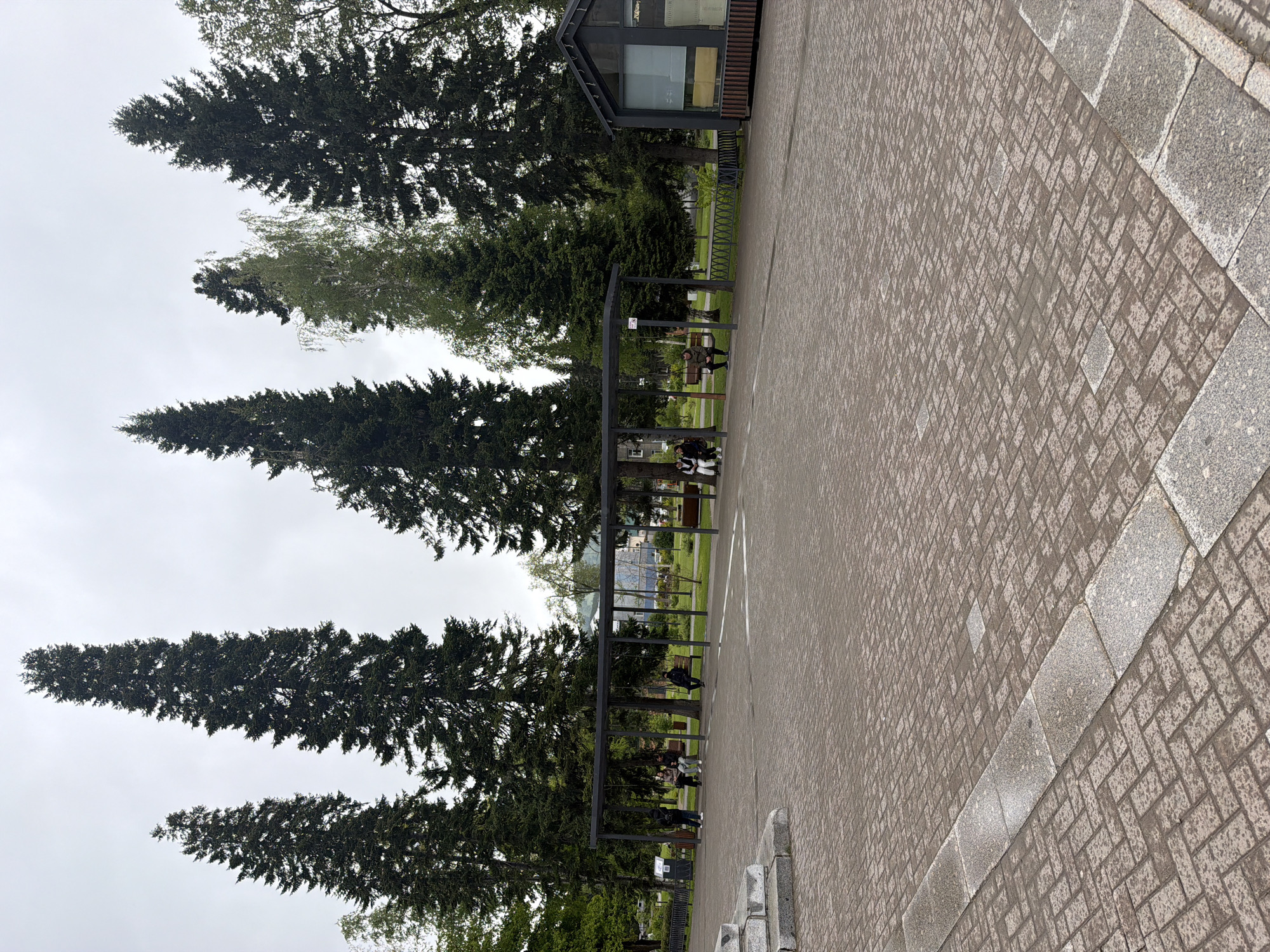 The photograph presents an outdoor scene in Gorno-Altaysk, Russia. A pedestrian walkway, paved with small, rectangular bricks, dominates the foreground. Adjacent to the path, on the left side of the frame, stand tall evergreen trees. A linear structure with a metal frame runs parallel to the walkway, and beneath it, people are seated on benches. A small building is partially visible behind the trees and the metal structure. The sky is overcast.