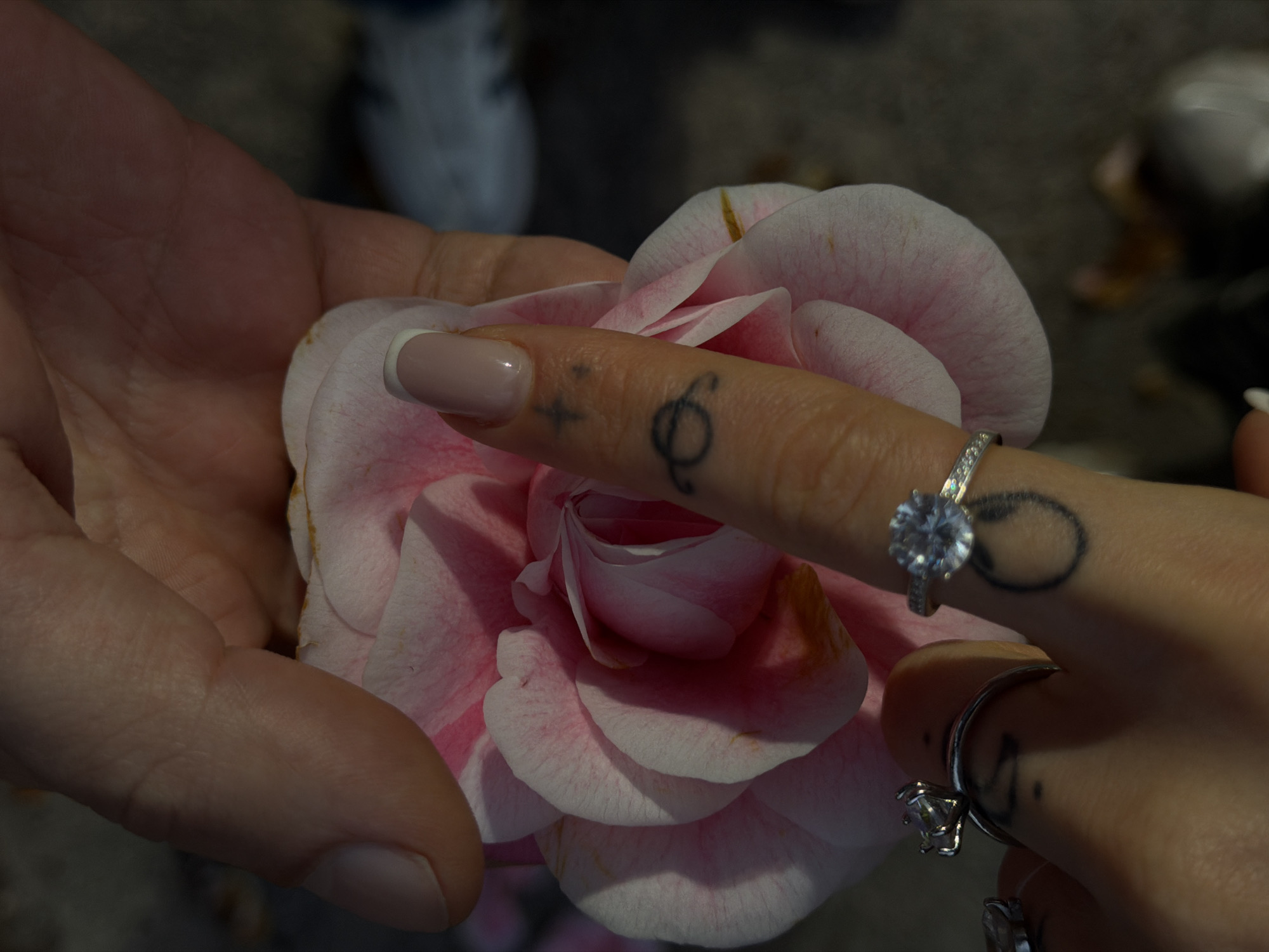 The image shows a close-up of two hands holding a pink flower. One hand is fair-skinned with multiple rings on the fingers, and tattoos. The other hand is male, holding the flower in a supportive manner. The background is blurred. There is no evidence to suggest the location is Trebesin, Montenegro.