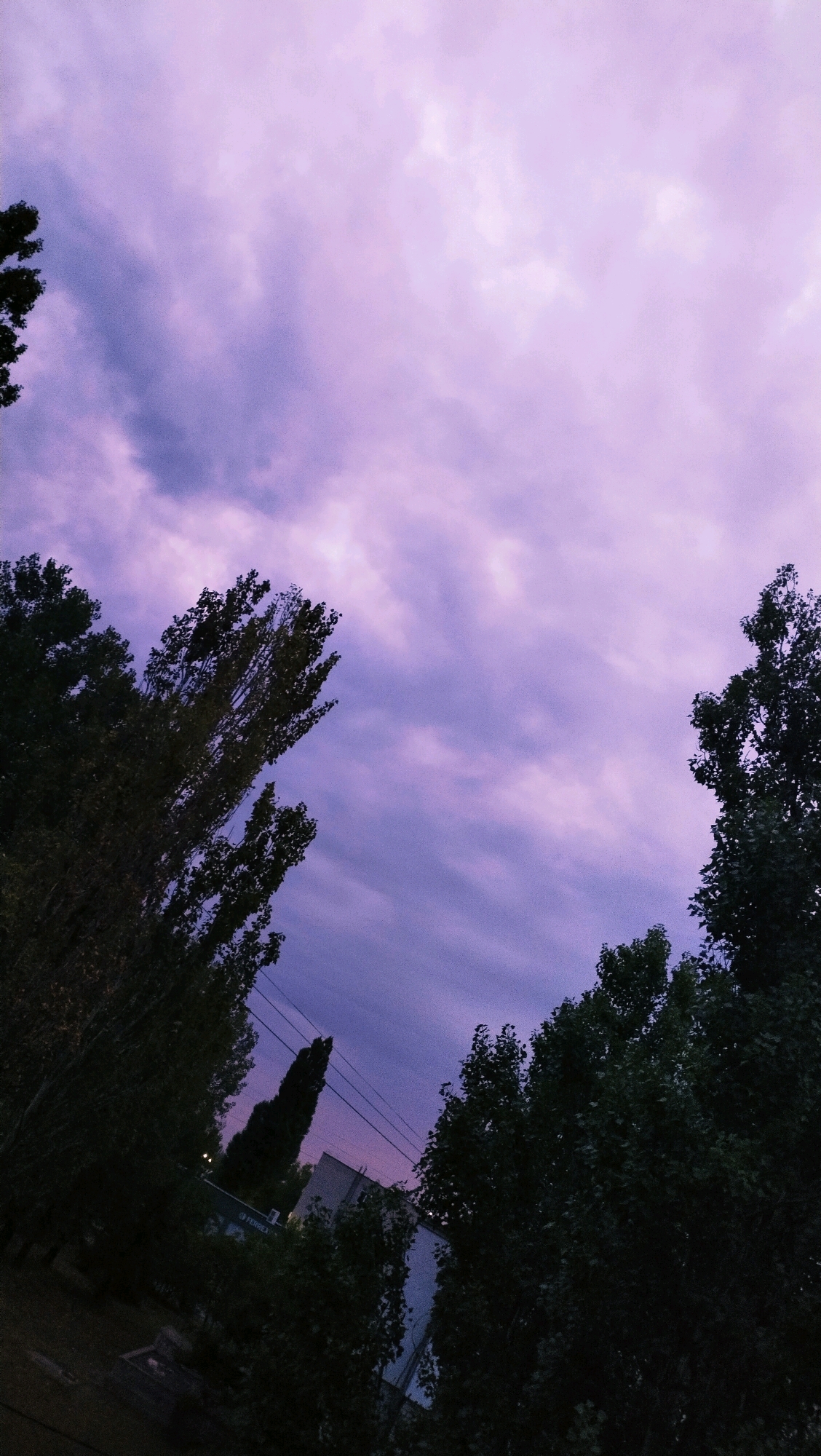 The image depicts a cloudy sky with hues of purple and pink, suggesting it was taken during twilight or dawn. Silhouetted trees frame the sky from the left and right sides of the composition. In the lower center of the image, a tall, slender tree stands out against the darker background. Buildings and power lines are visible behind the trees, indicating an urban or suburban setting. The overall impression is one of a serene, atmospheric landscape, likely captured in the city of Horishni Plavni, Ukraine.