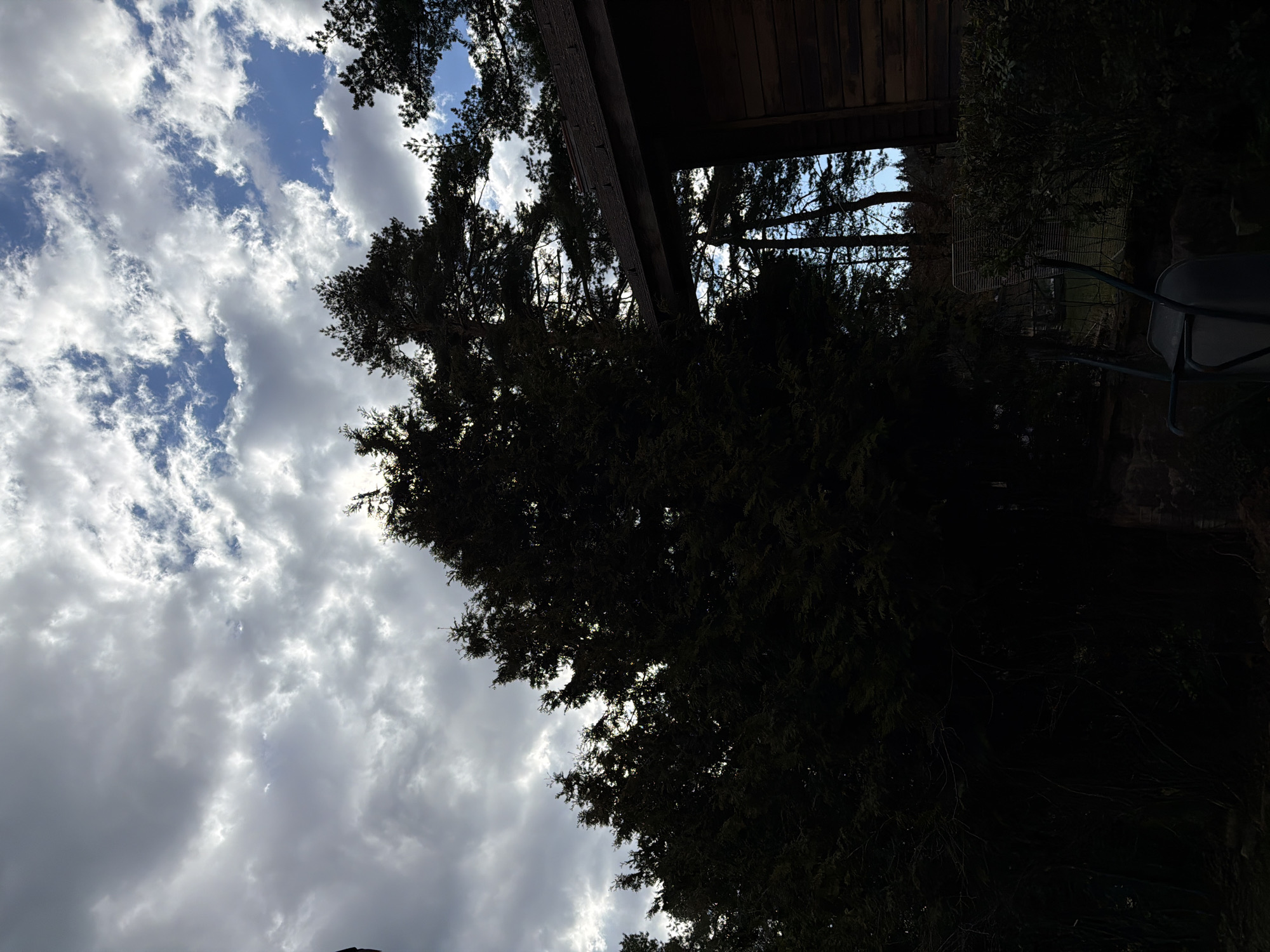 The image shows a view looking up at the sky through trees. The sky is filled with white clouds against a blue background. A portion of a building, possibly a house, is visible at the top of the frame. A wheelbarrow and some other gardening items are visible in the lower right corner, obscured by shadows. The location appears to be an outdoor residential area, possibly a backyard.