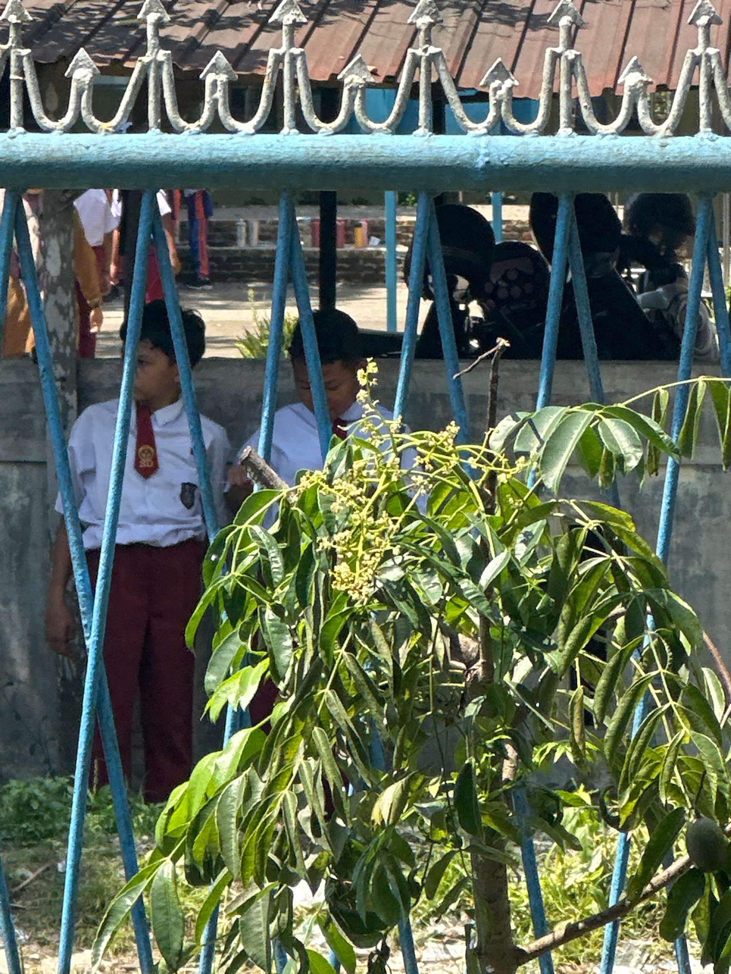 Two boys in school uniforms stand behind a blue metal fence in what appears to be an outdoor area, possibly a schoolyard in the City of Binjai, Indonesia. The boy on the left wears a white short-sleeved shirt with a red tie and dark pants. The boy on the right wears a similar white shirt and appears to have dark hair. In the background, other people are visible, some wearing colorful attire, and a motorcycle is parked. The fence has decorative pointed elements at the top and is positioned in front of a building with a tiled roof. A leafy tree with small yellow flowers and developing fruit is growing in the foreground, partially obscuring the view of the boys and the background. The ground is covered with grass and some debris. The lighting suggests it is daytime, with sunlight casting shadows.