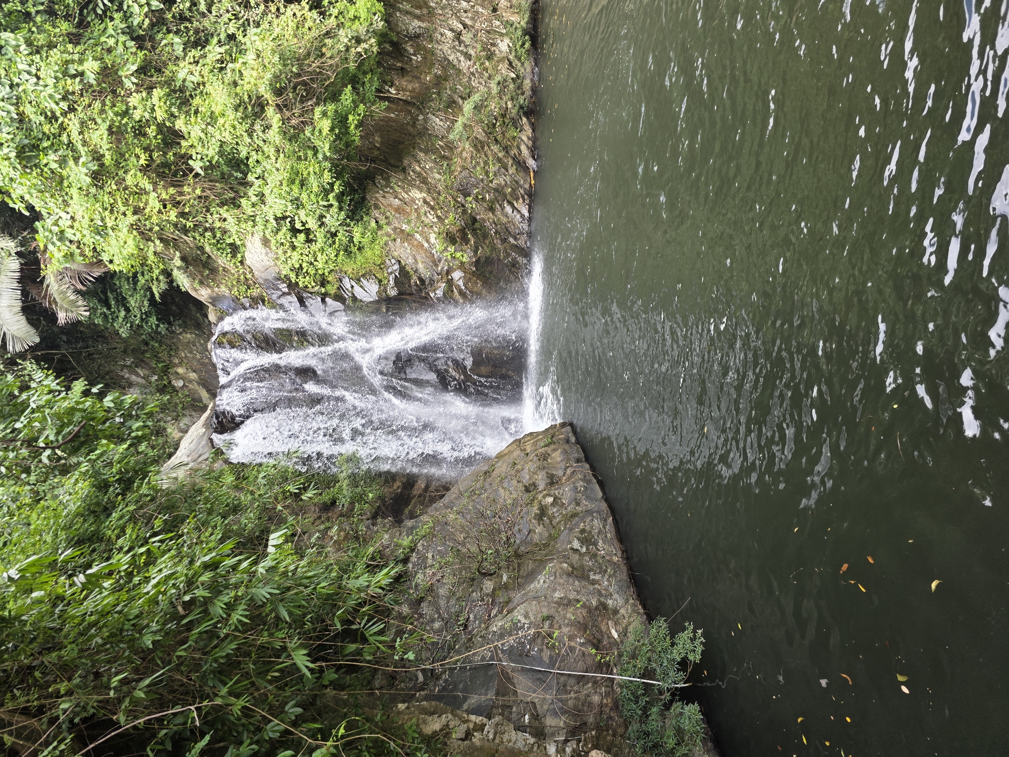 This is a photograph of a waterfall in a lush, natural environment. The waterfall cascades down a rocky cliff face, with abundant green foliage surrounding it. The water collects in a dark, still pool at the base of the falls. The scene is tranquil and appears to be in a tropical or subtropical region, judging by the dense vegetation. The image does not contain any people or man-made structures, suggesting a natural park or a remote wilderness area.
It is not possible to determine the specific location within Đà Nẵng, Vietnam, based on this image alone, as there are no identifying landmarks or signs. The image depicts a natural landscape that could be found in many parts of Vietnam with similar geographical features.