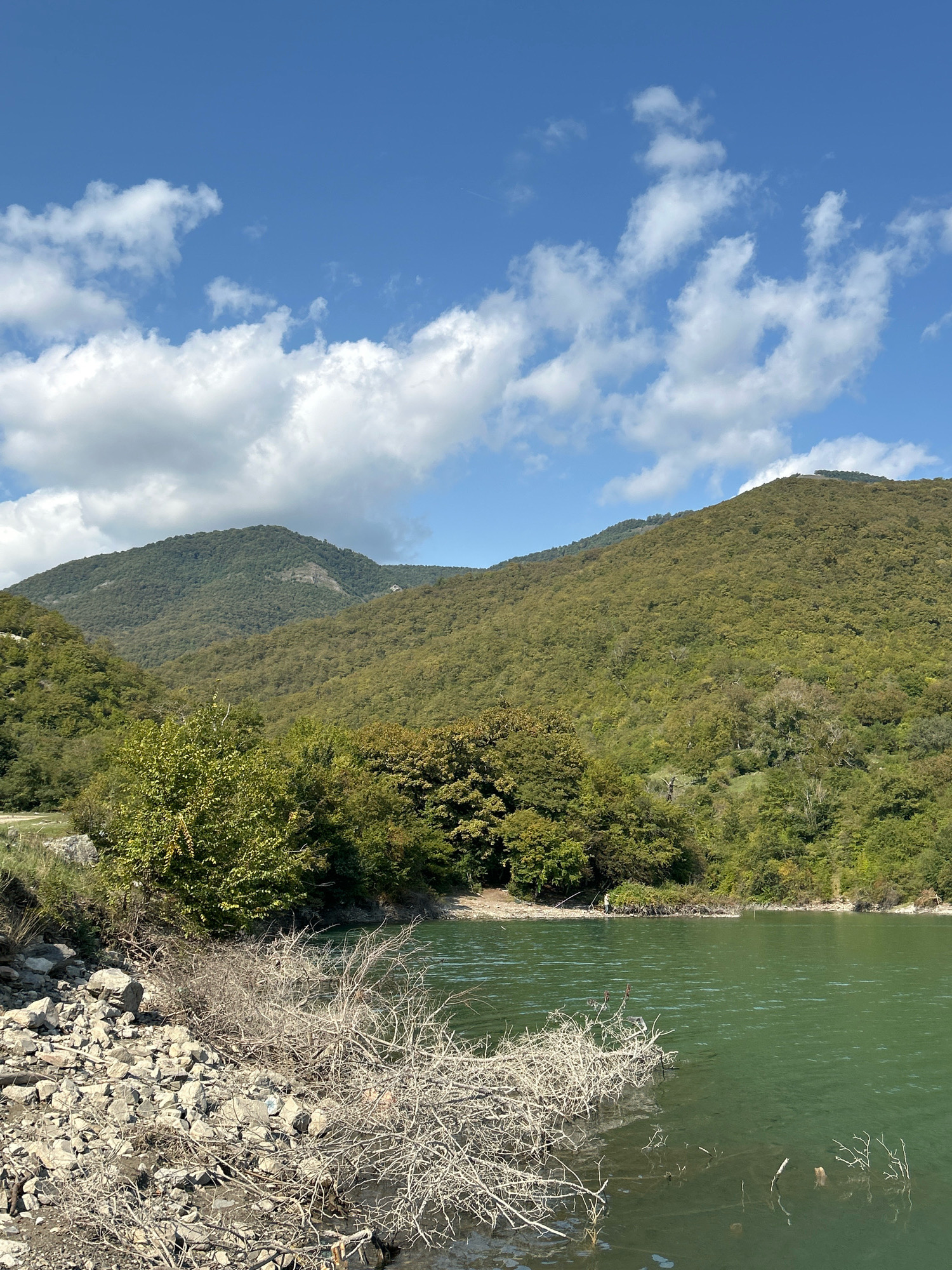 The image depicts a serene natural landscape in the vicinity of Pkhundavi, Georgia. The foreground is dominated by a rocky shore with sparse, dry branches and vegetation. The water, a clear emerald green, gently laps at the shore. Beyond the water, a dense forest covers the slopes of rolling hills, transitioning into larger, verdant mountains that fill the background. The sky is a vibrant blue, adorned with scattered white cumulus clouds. The scene conveys a sense of untouched nature and tranquility, with no visible human activity or structures.