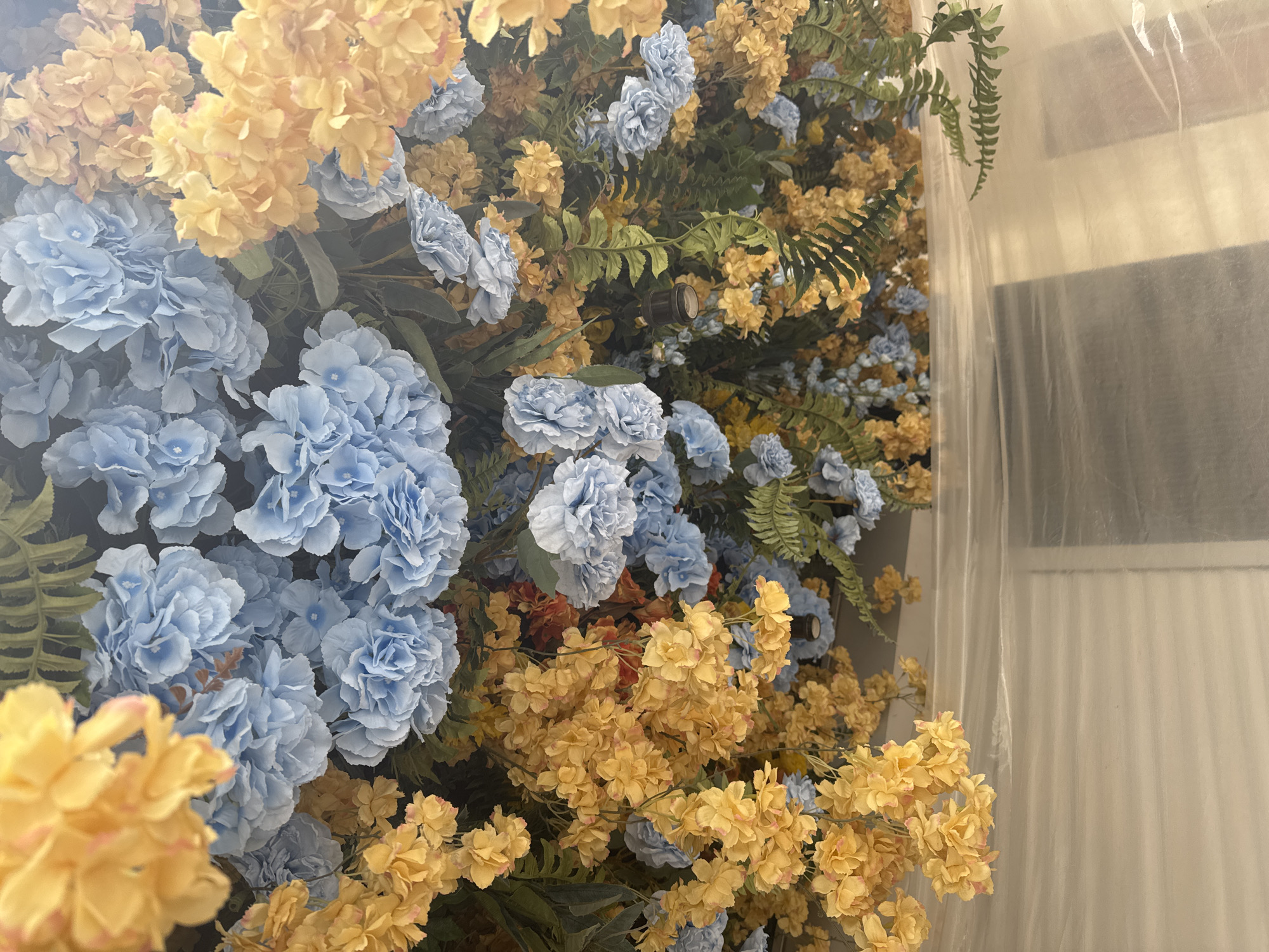 The image captures a vibrant decorative wall or backdrop filled with artificial flowers and foliage. The display is predominantly composed of clusters of soft pastel blue flowers, resembling hydrangeas or carnations, intermingled with numerous golden yellow blossoms. Lush dark green artificial fern leaves and other greenery provide a rich contrast and fill the spaces between the flowers.
A dark, cylindrical object, possibly part of a light fixture or structural element, is visible embedded within the foliage towards the center-right of the floral arrangement. On the far right side of the frame, a translucent, white or off-white plastic or sheer fabric curtain hangs vertically. It partially obscures a light-colored wall or structure behind it, which features subtle horizontal lines, possibly from blinds or paneling.
The scene depicts a static, decorative arrangement, likely indoors, given the nature of the artificial flowers and the presence of the curtain. There are no people, visible activities, or discernible text. The lighting appears soft and even, highlighting the textures and colors of the floral display. The overall impression is one of a festive or ornamental setting.